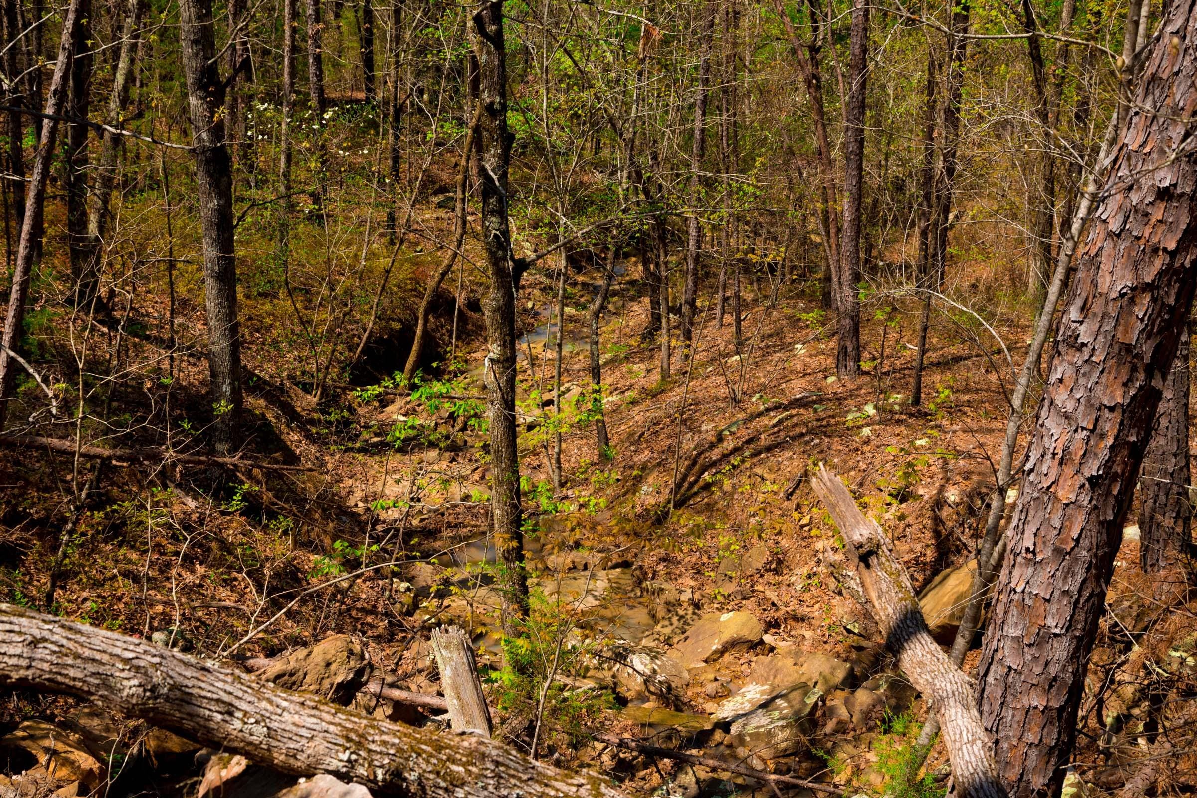 Stone Creek Phase II Tract 216 photo 8