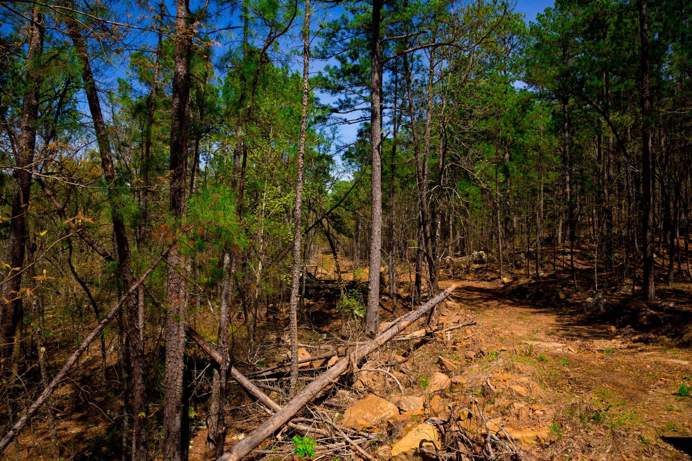 Stone Creek Phase II Tract 216 photo 9