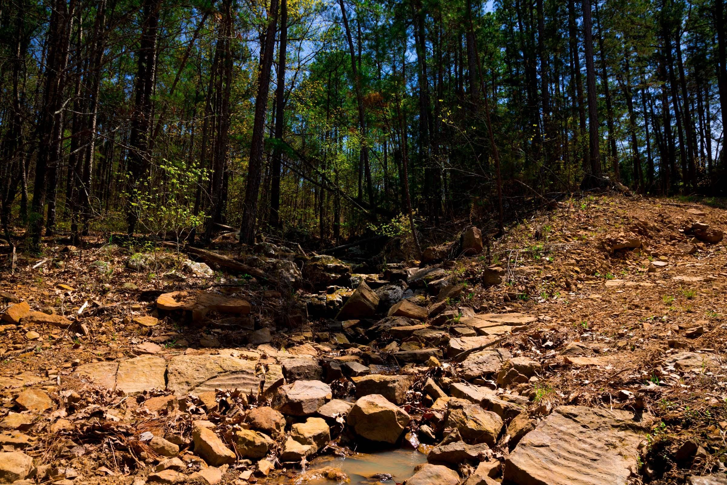 Stone Creek Phase II Tract 216 photo 10