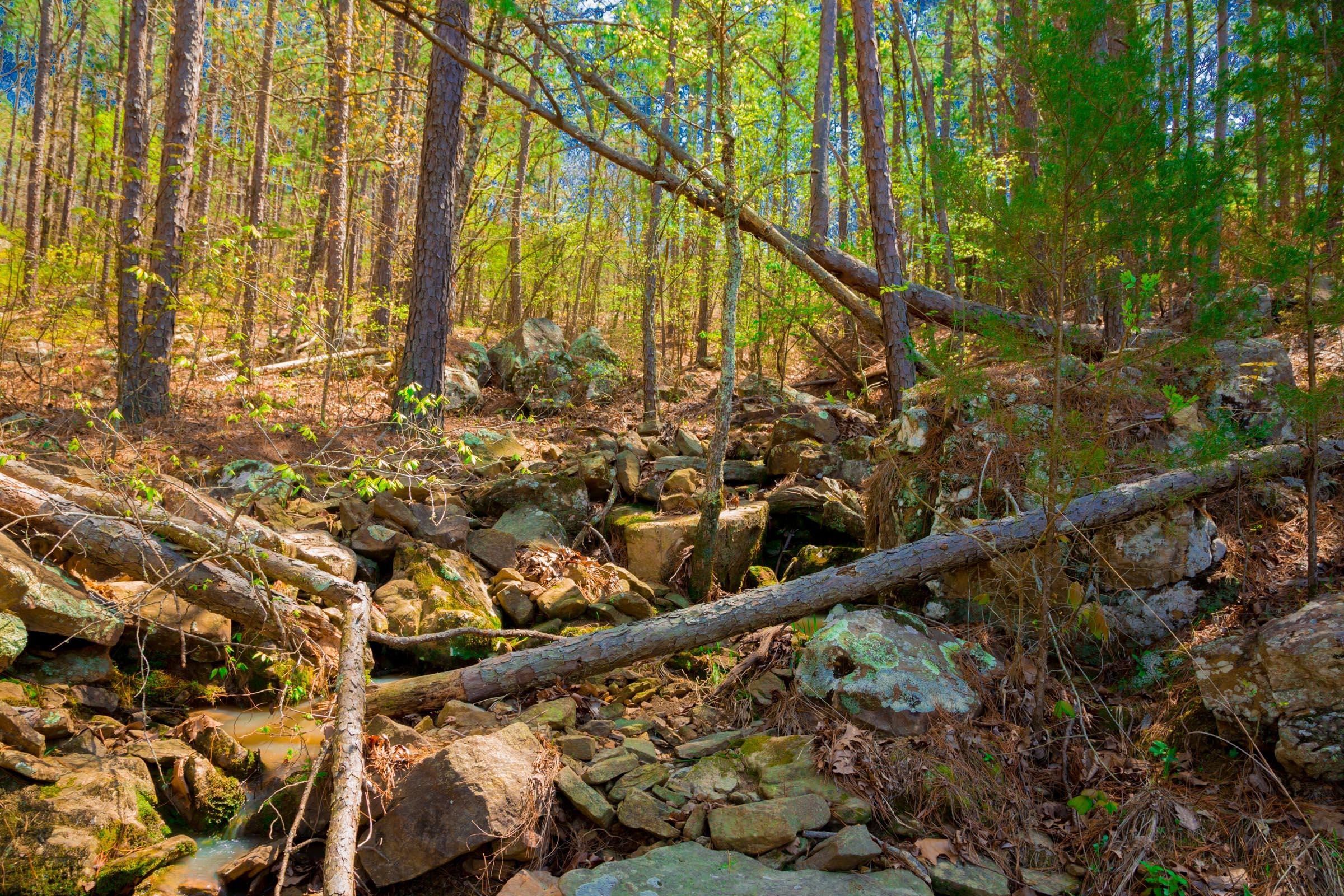 Stone Creek Phase II Tract 216 photo 12