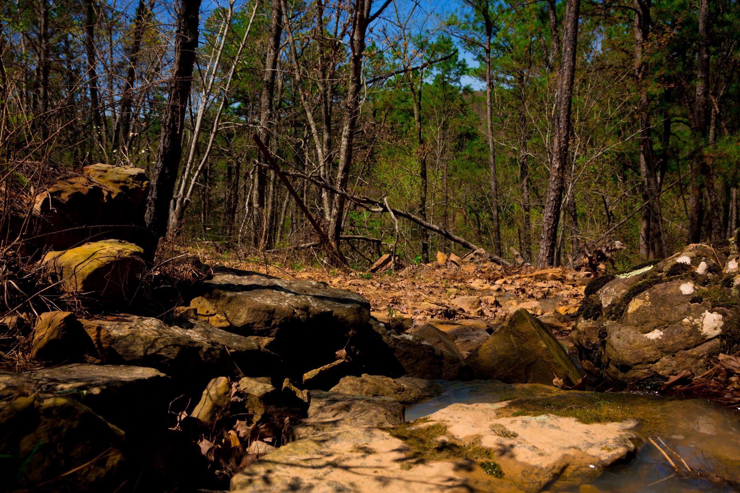 Stone Creek Phase II Tract 216 photo 13