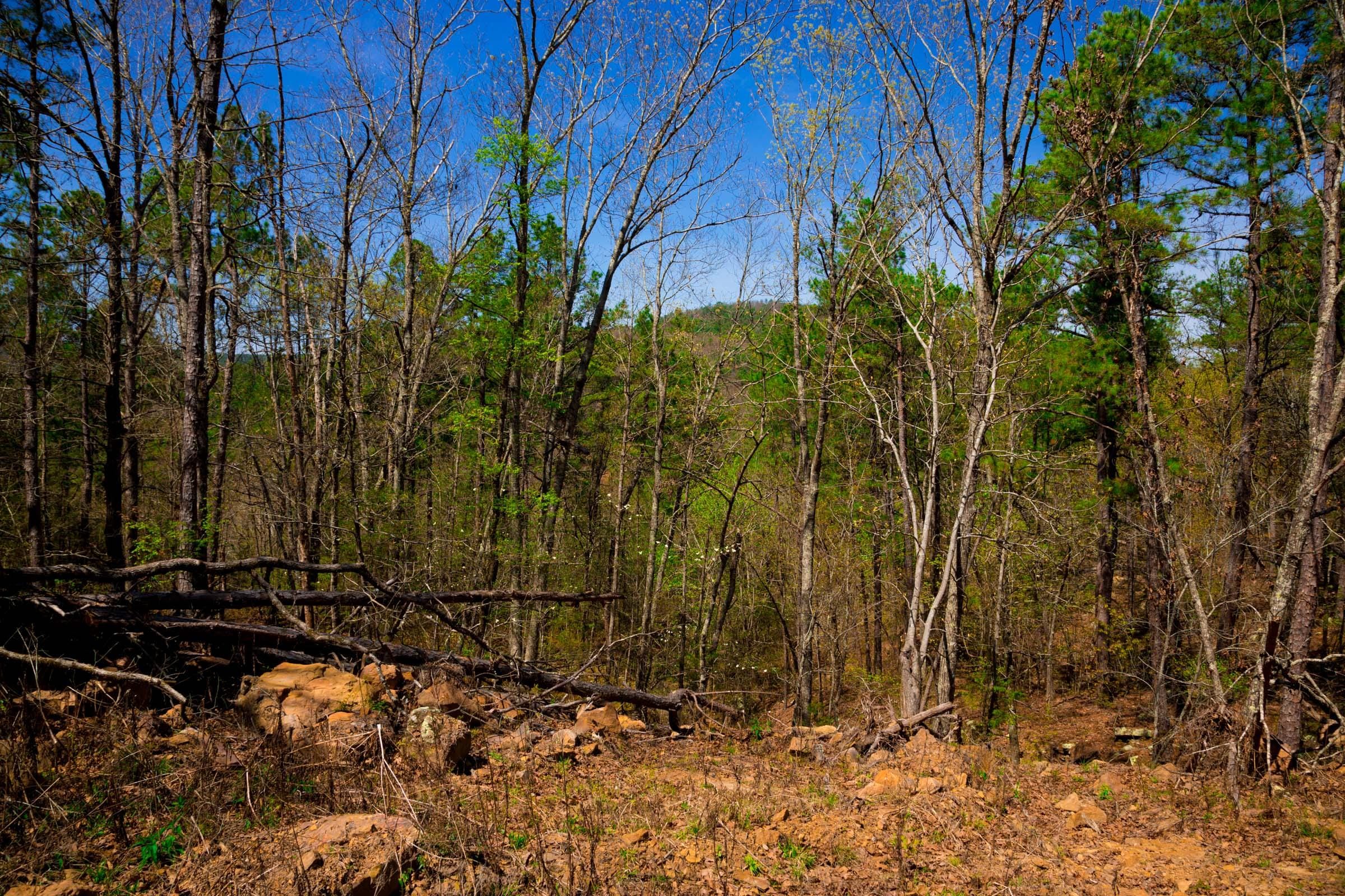 Stone Creek Phase II Tract 216 photo 14