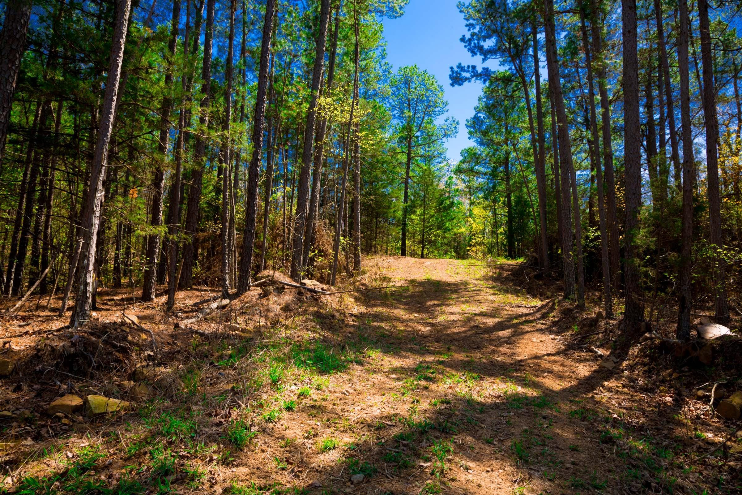 Stone Creek Phase II Tract 216 photo 15