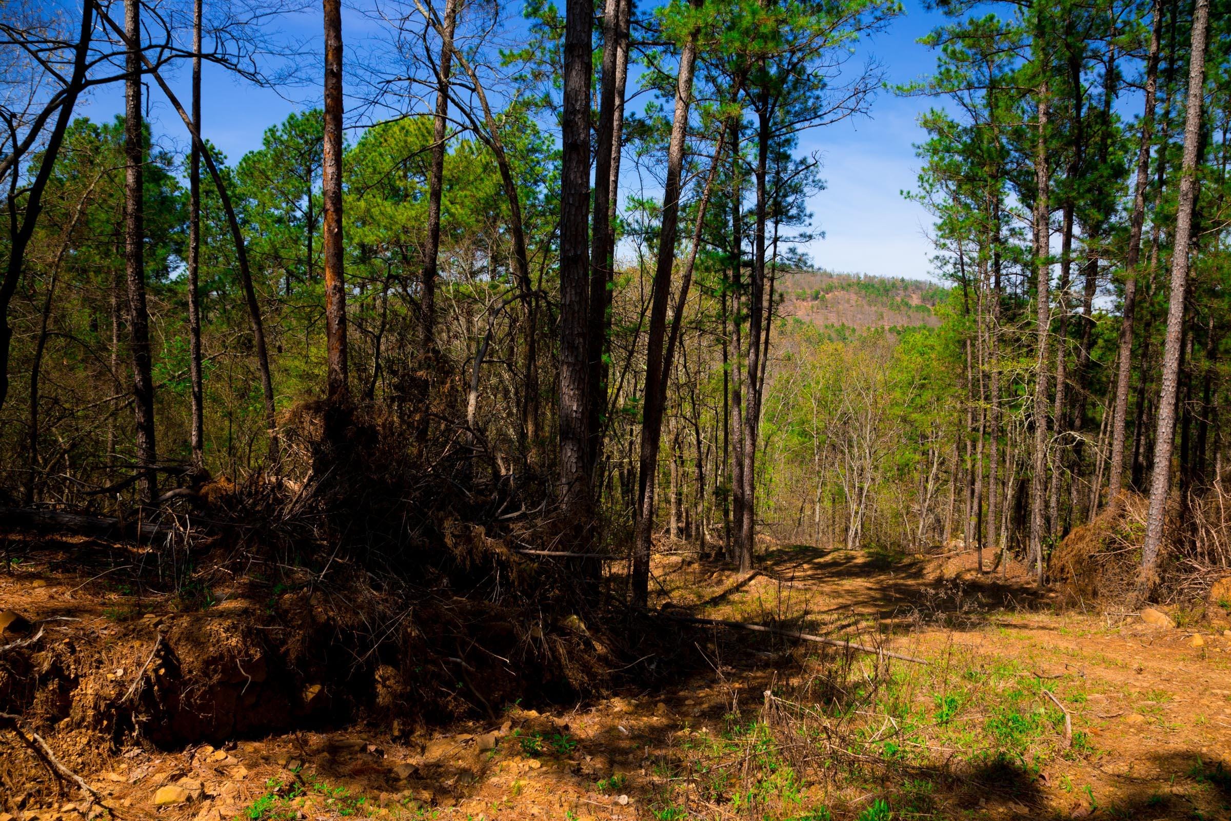 Stone Creek Phase II Tract 216 photo 16