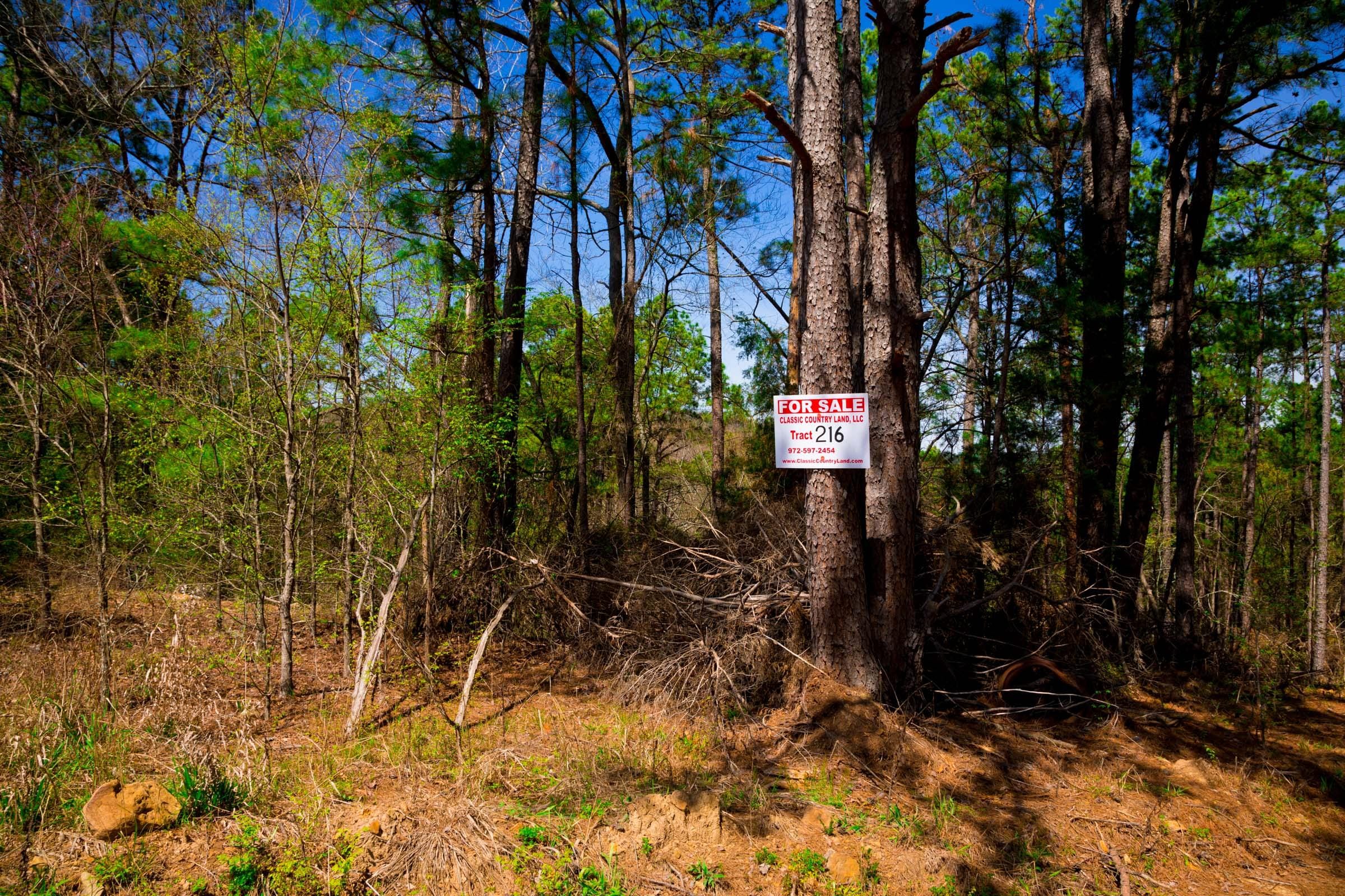 Stone Creek Phase II Tract 216 photo 1