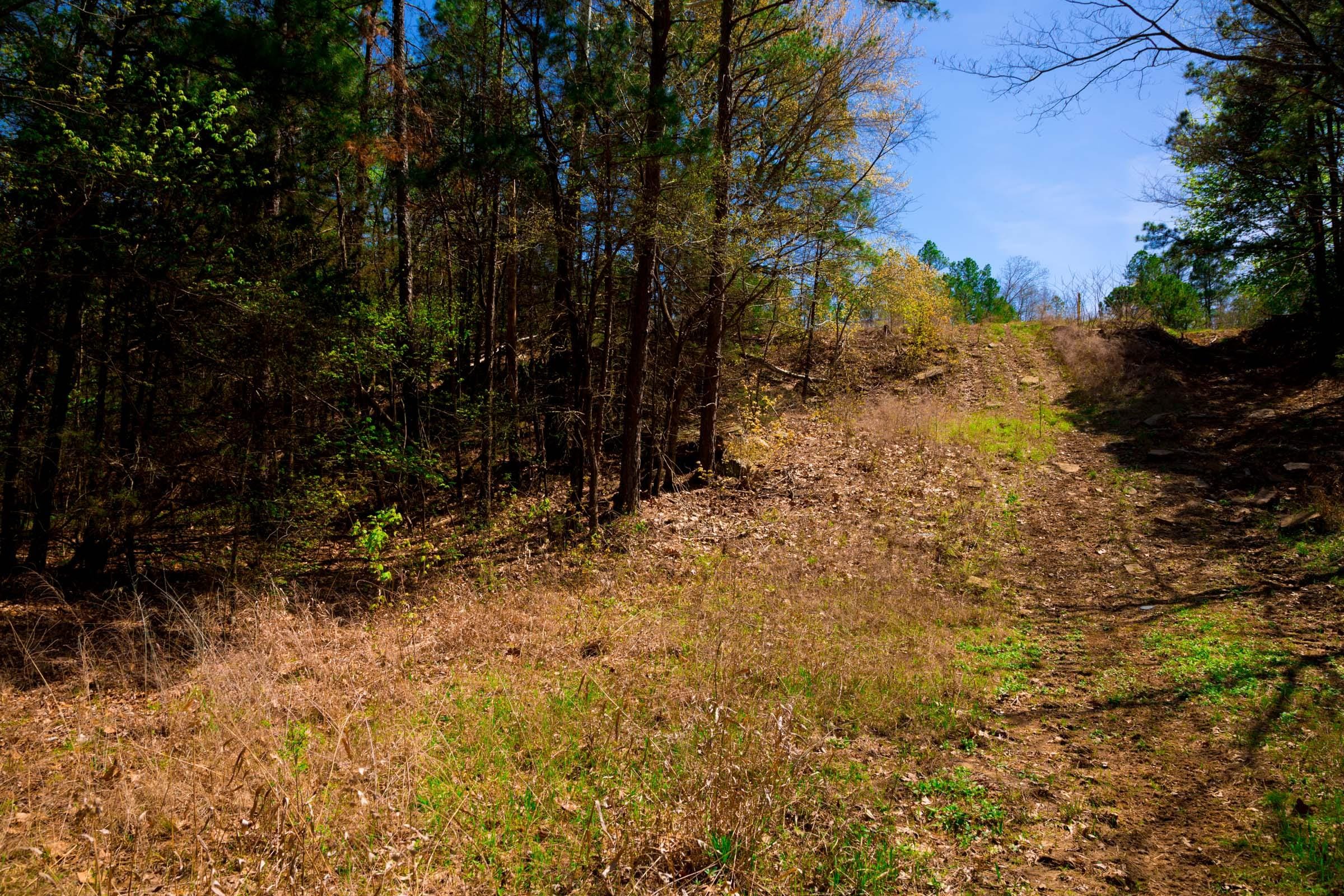 Stone Creek Phase II Tract 216 photo 18