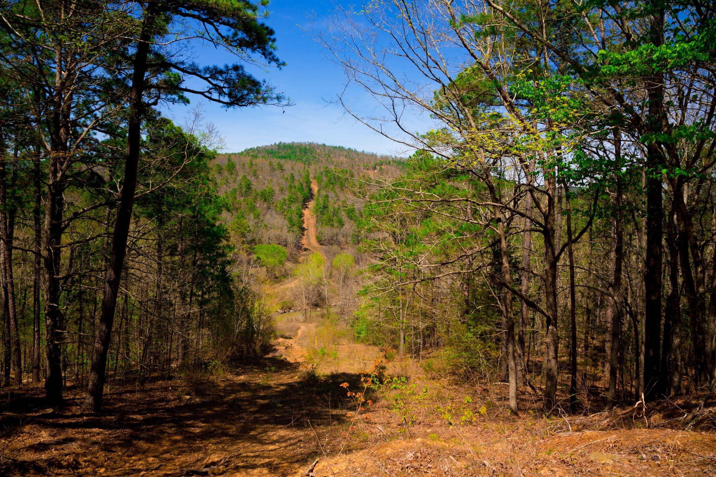 Stone Creek Phase II Tract 216 photo 19
