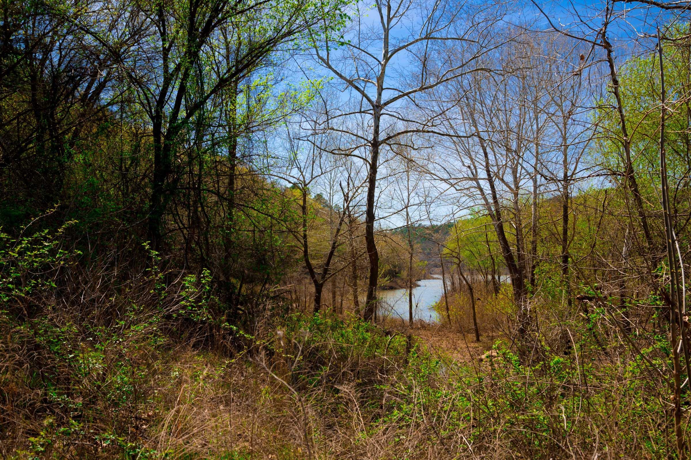 Stone Creek Phase II Tract 216 photo 23