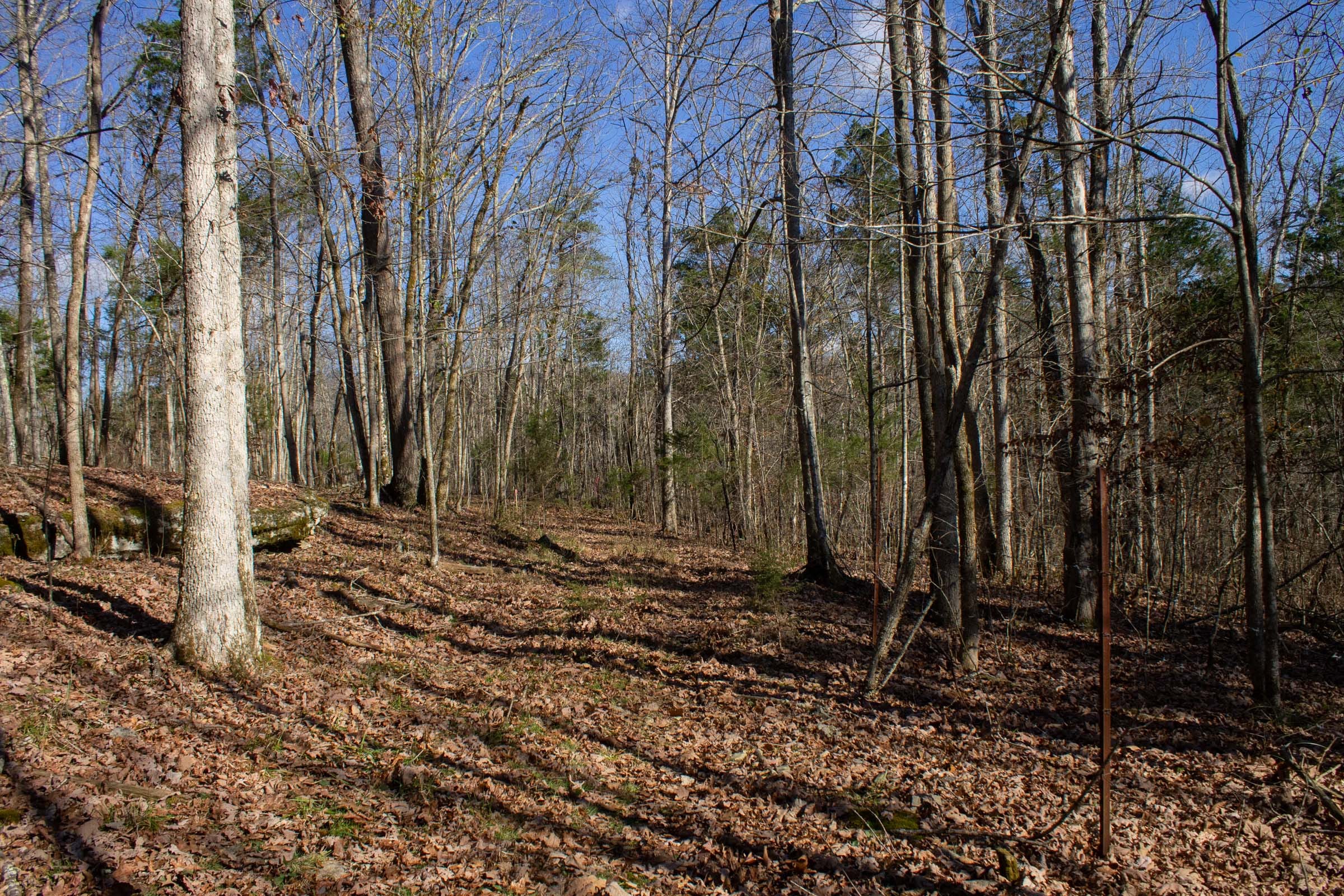 The Cliffs Tract 9 photo 1