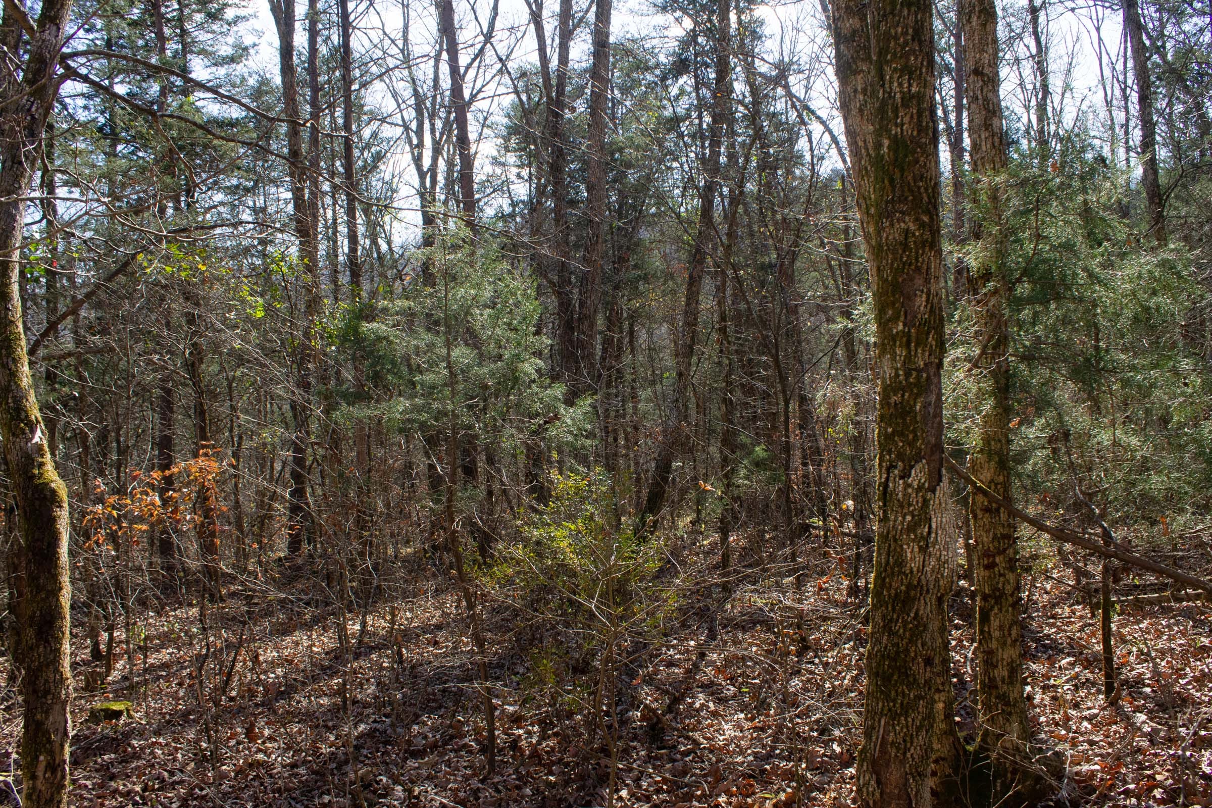 The Cliffs Tract 9 photo 3