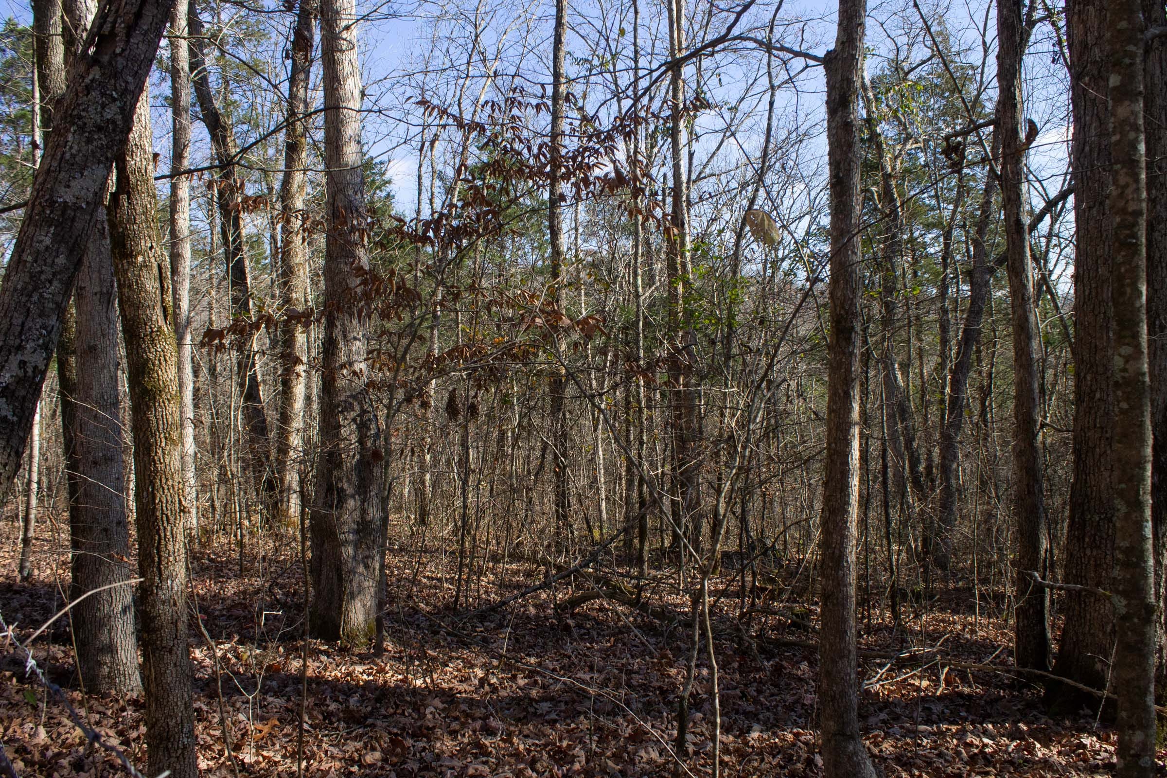 The Cliffs Tract 9 photo 4