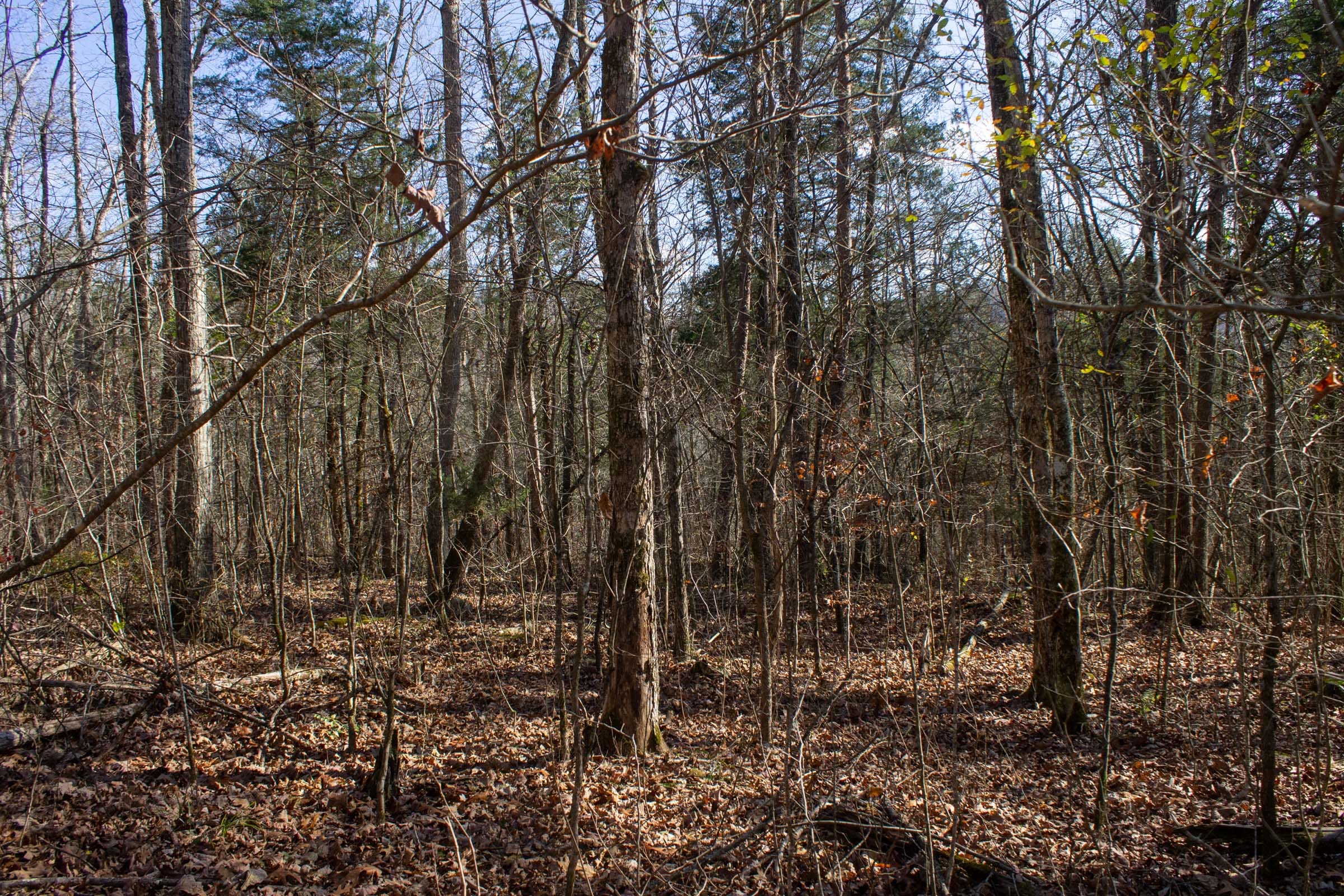 The Cliffs Tract 9 photo 5