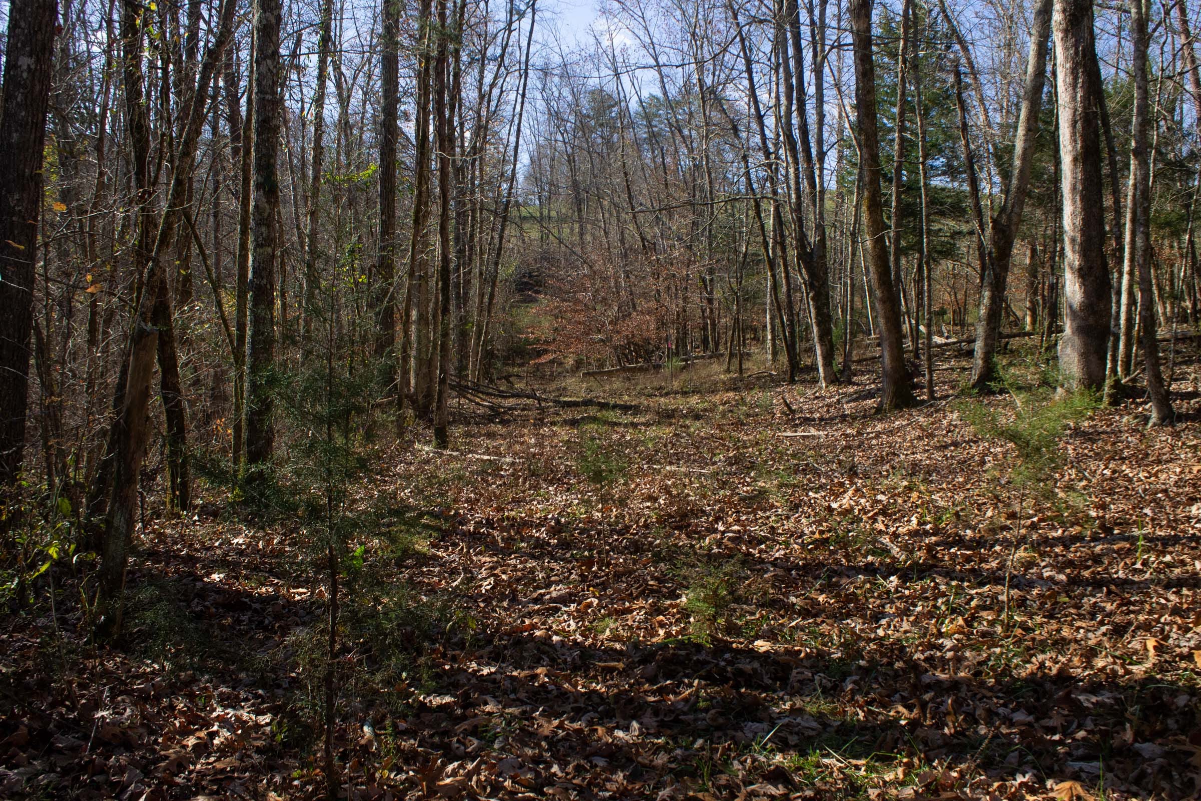 The Cliffs Tract 9 photo 7