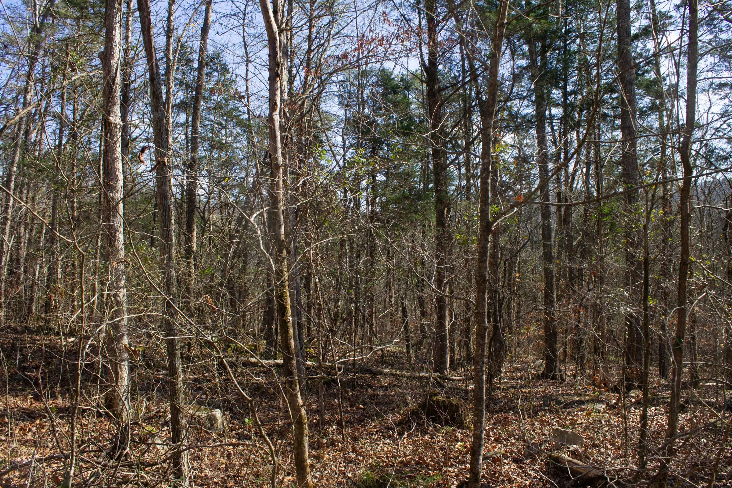 The Cliffs Tract 9 photo 9