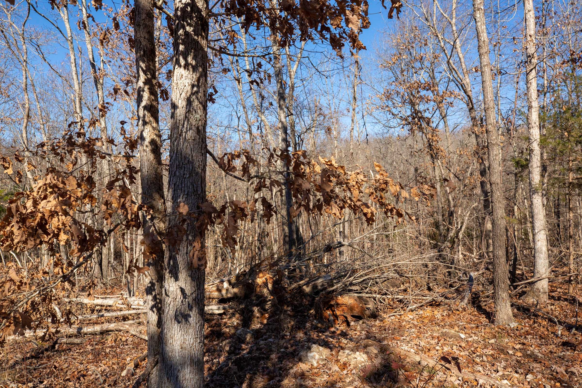 Dutchman Hollow Tract 13 photo 4