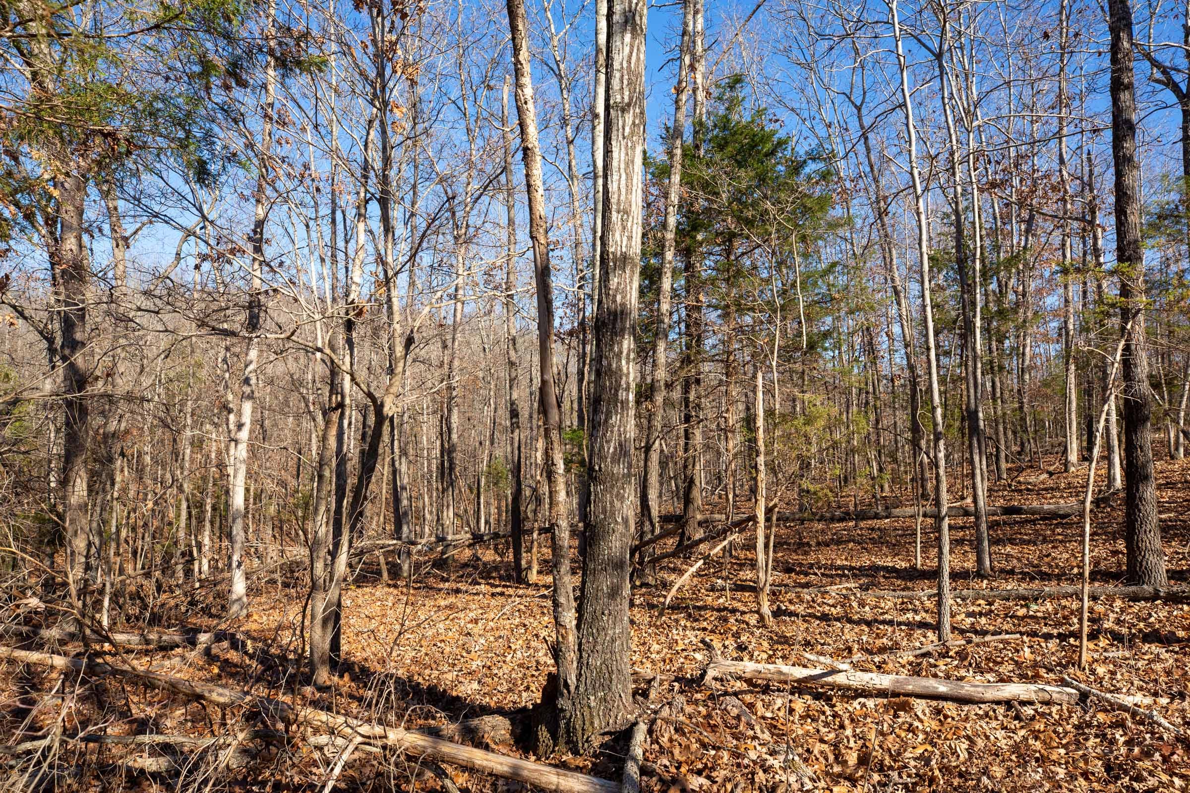 Dutchman Hollow Tract 13 photo 5