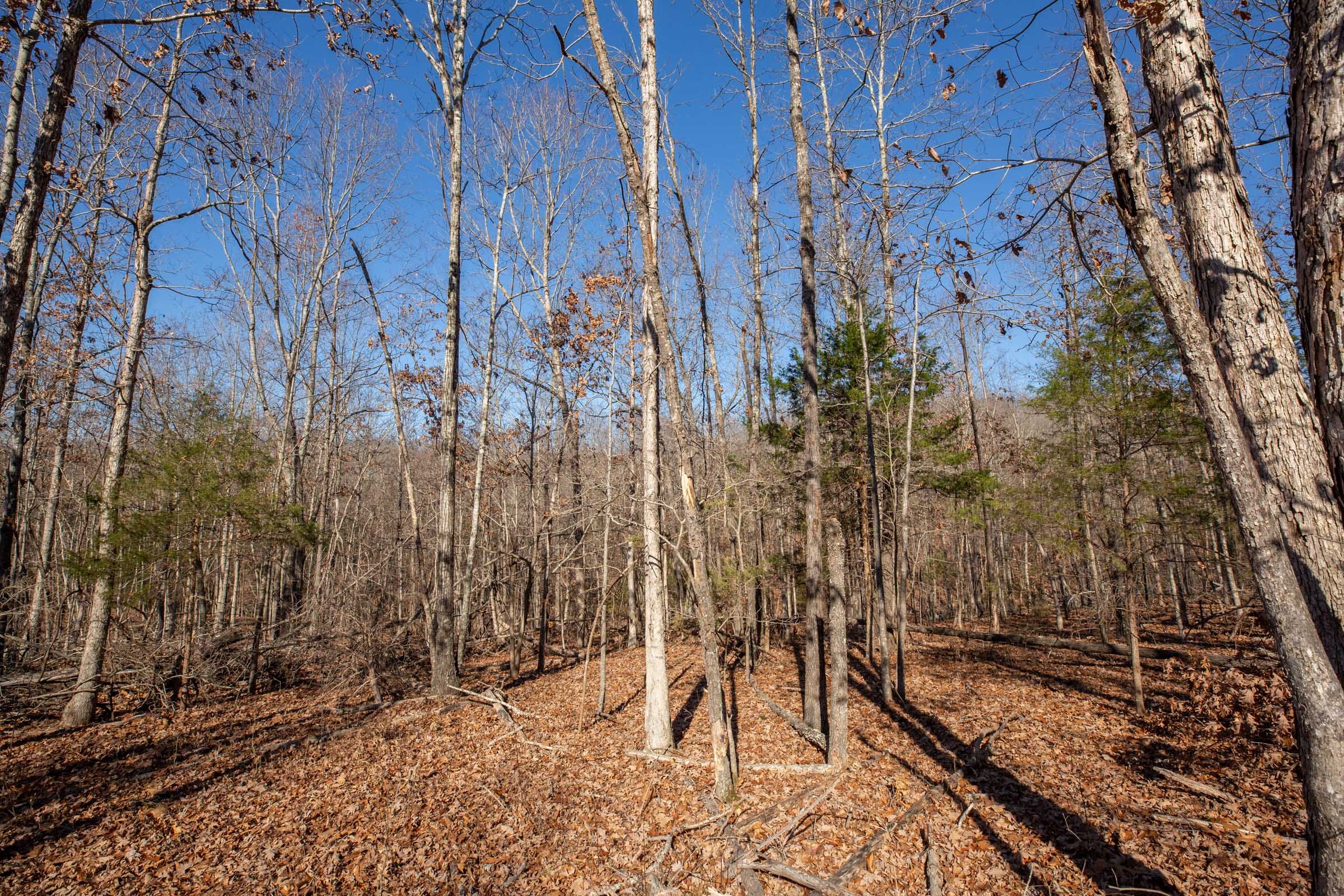 Dutchman Hollow Tract 13 photo 2