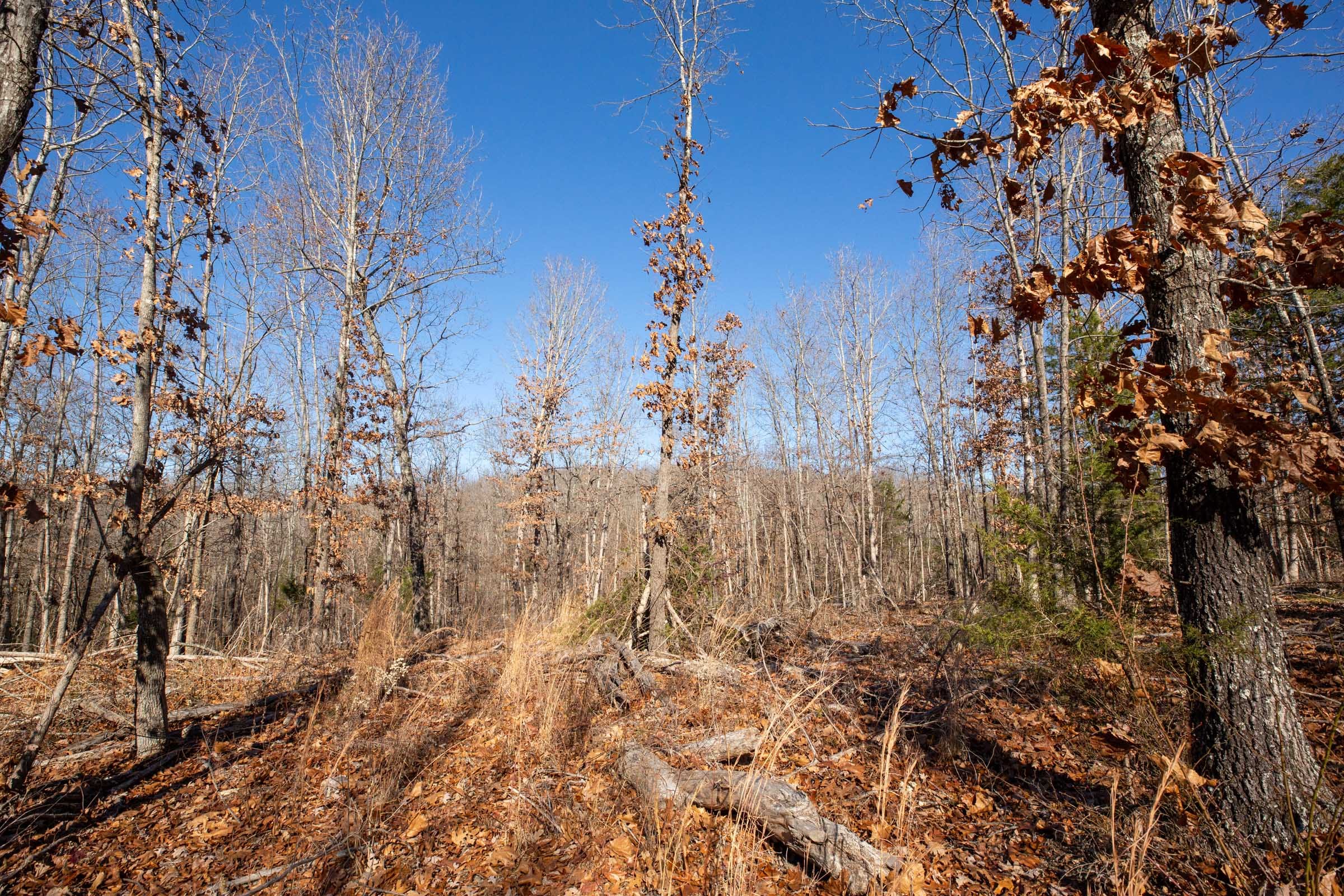 Dutchman Hollow Tract 13 photo 7