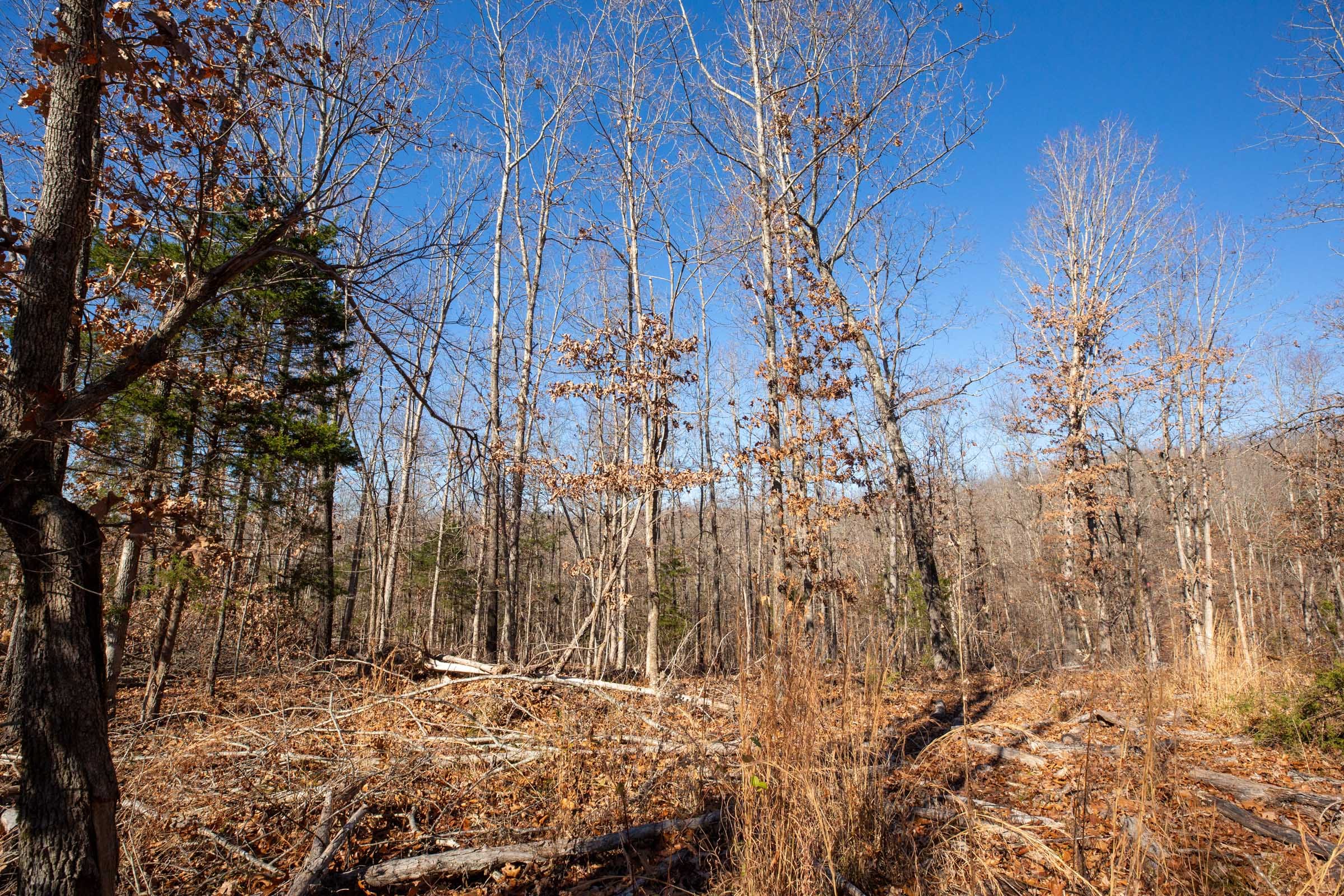 Dutchman Hollow Tract 13 photo 9
