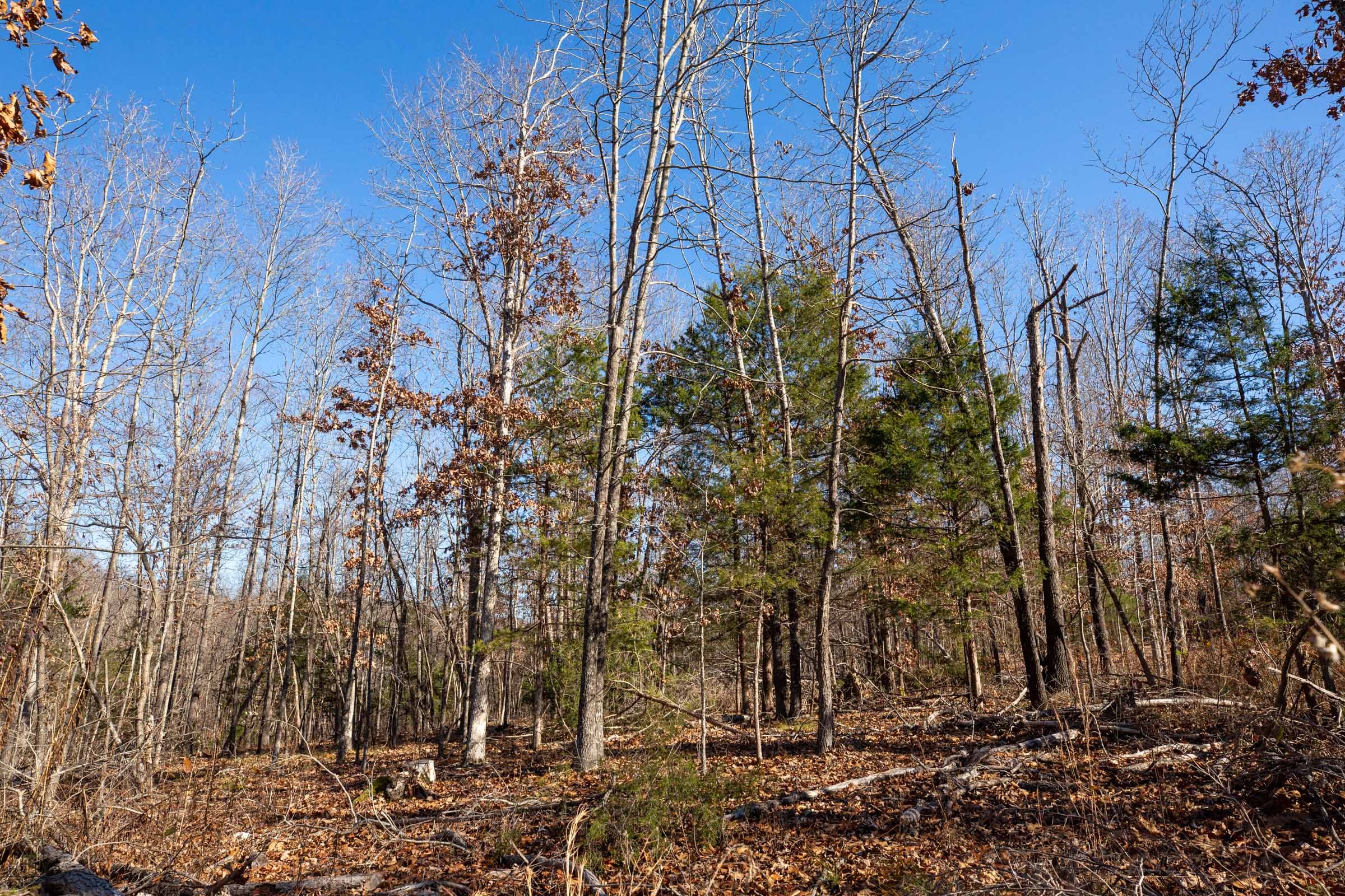 Dutchman Hollow Tract 13 photo 10