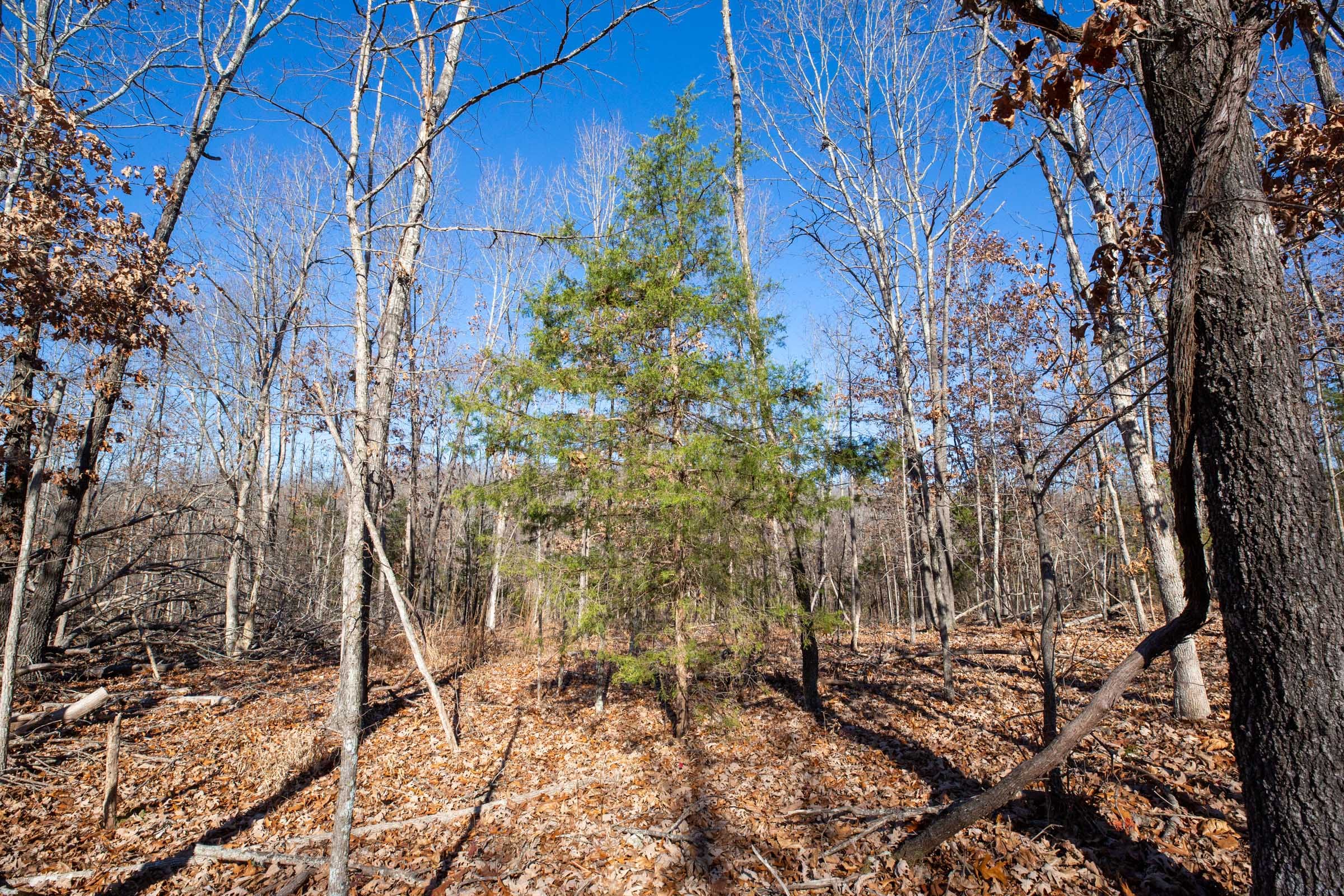 Dutchman Hollow Tract 13 photo 3