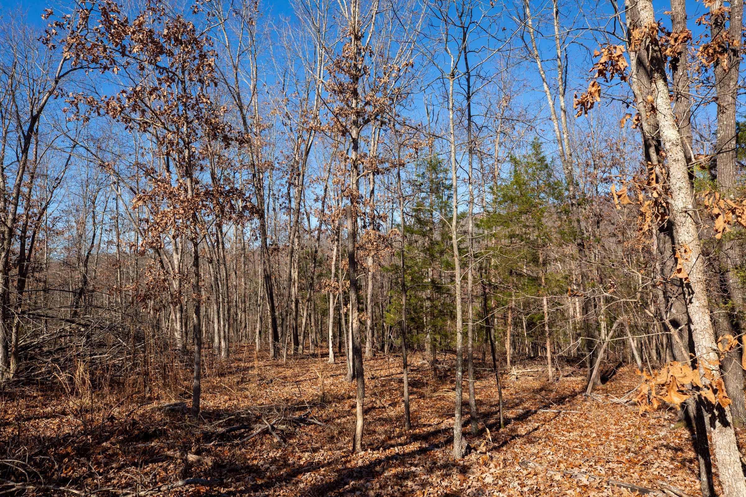 Dutchman Hollow Tract 13 photo 14