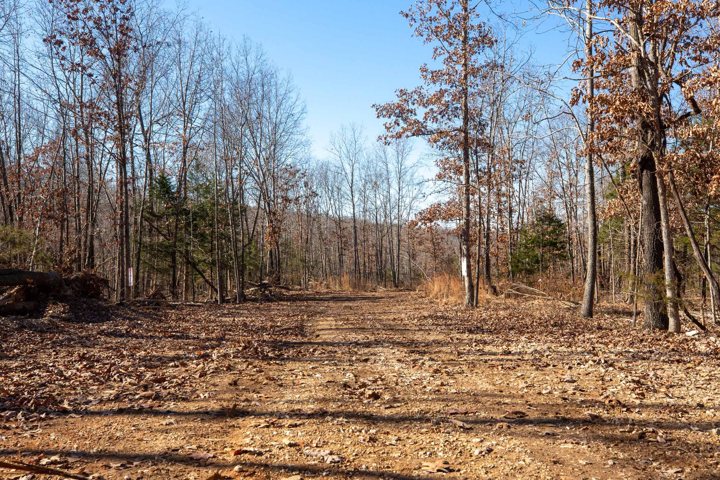 Dutchman Hollow Tract 13 photo 12