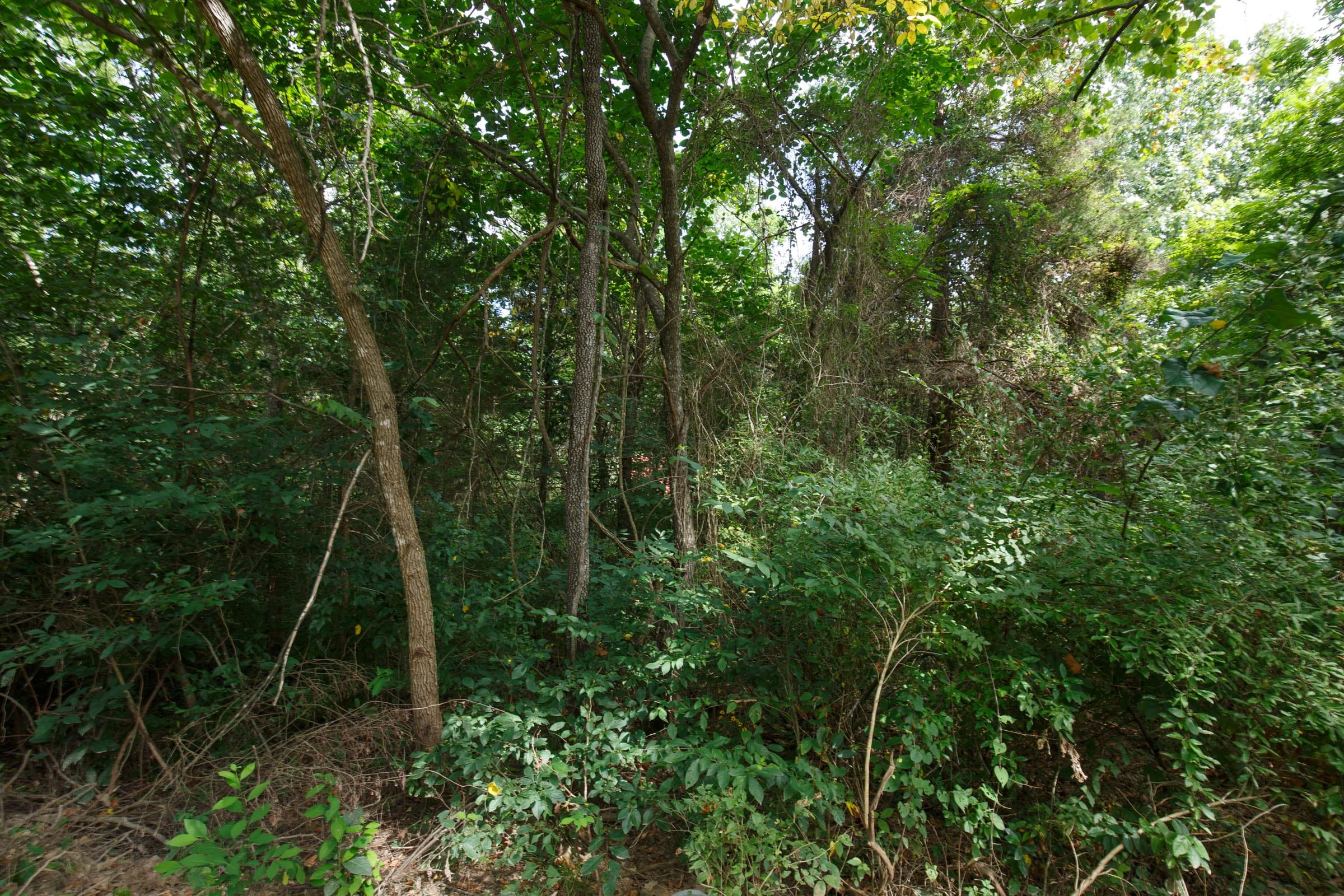 Spring Lake Plat 6 Tract 57 photo 3