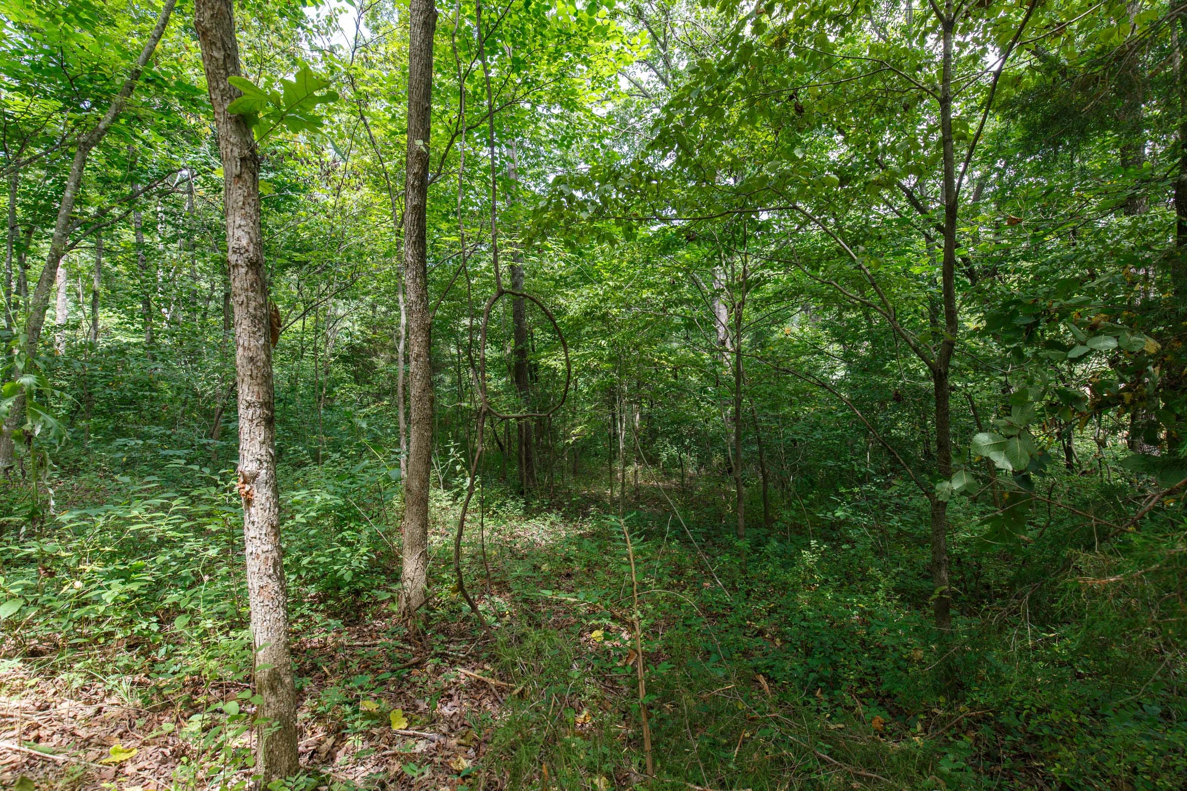 Spring Lake Plat 6 Tract 57 photo 1