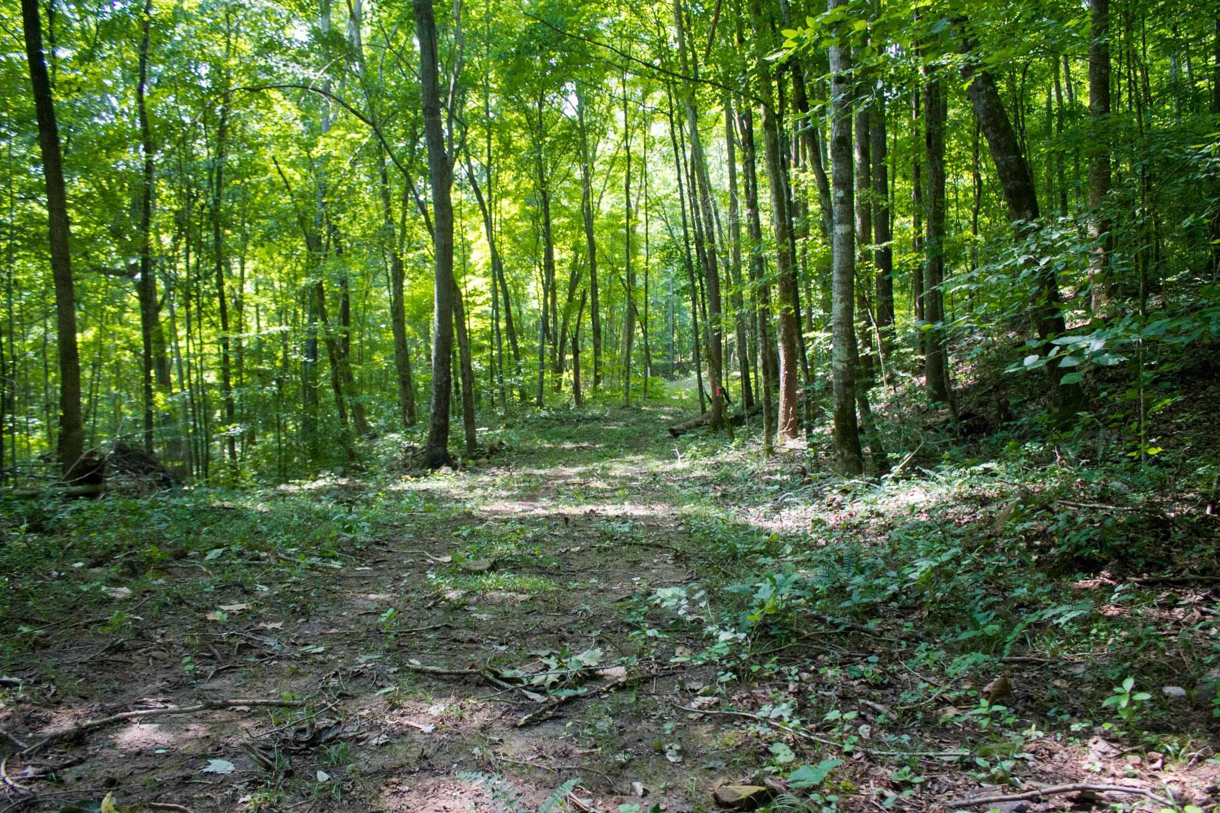 Bluewater Ridge Tract 13 photo 1