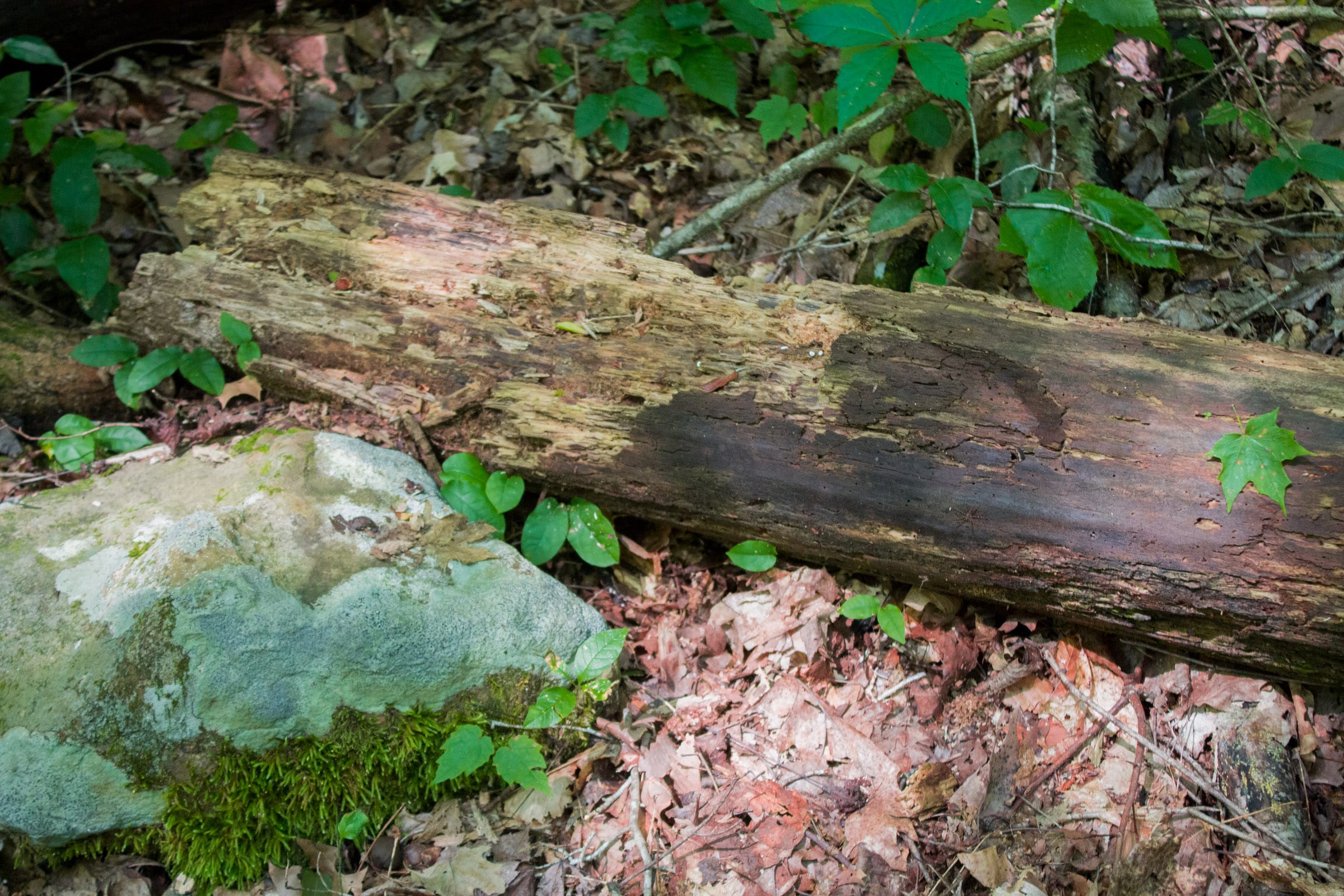 Bluewater Ridge Tract 13 photo 5