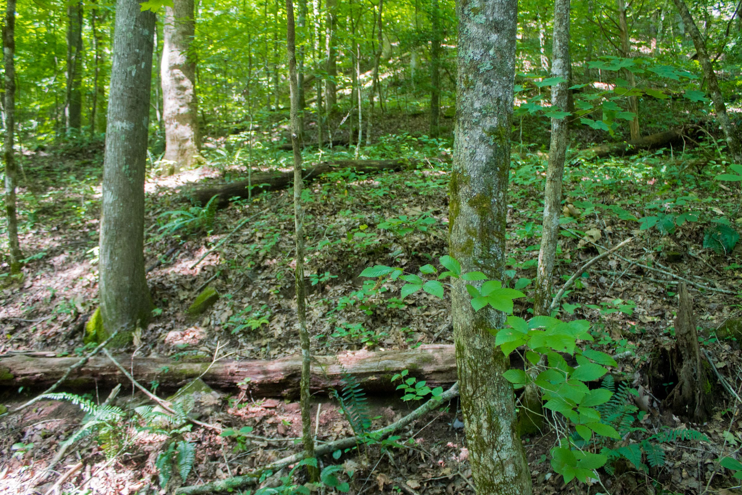 Bluewater Ridge Tract 13 photo 6
