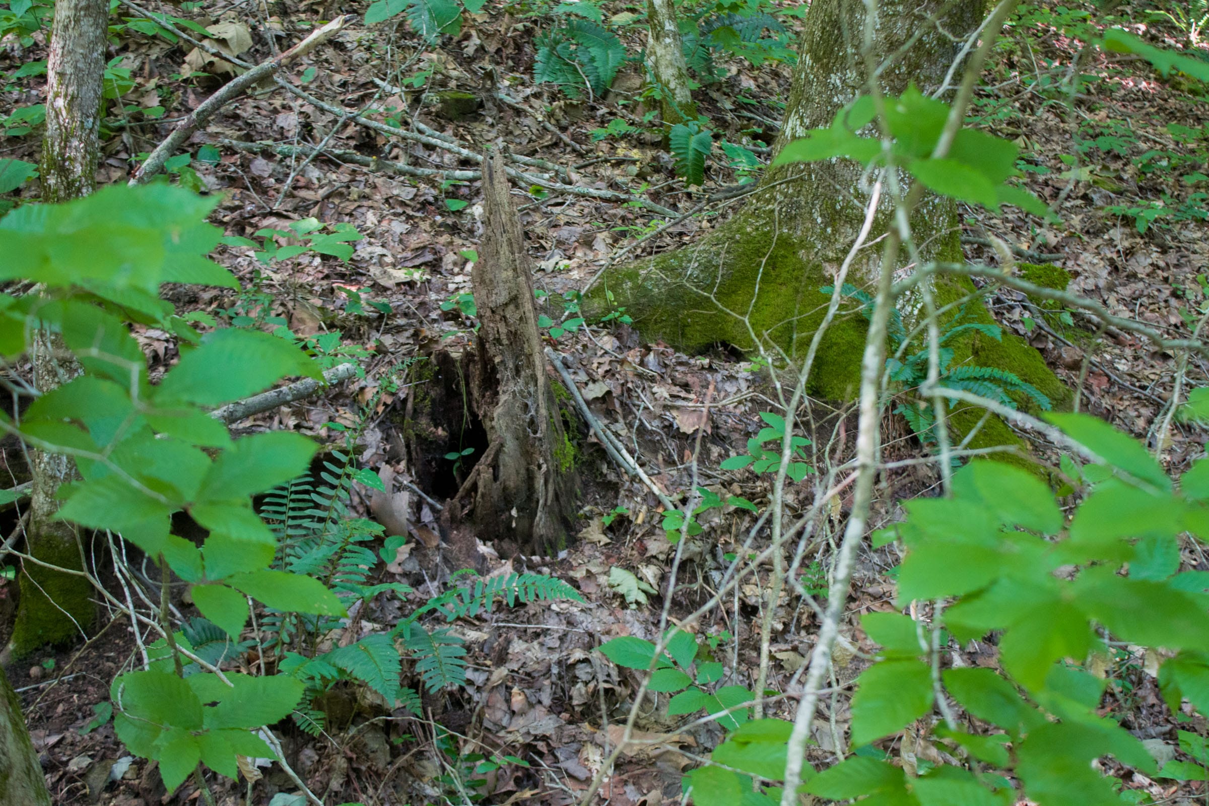 Bluewater Ridge Tract 13 photo 7