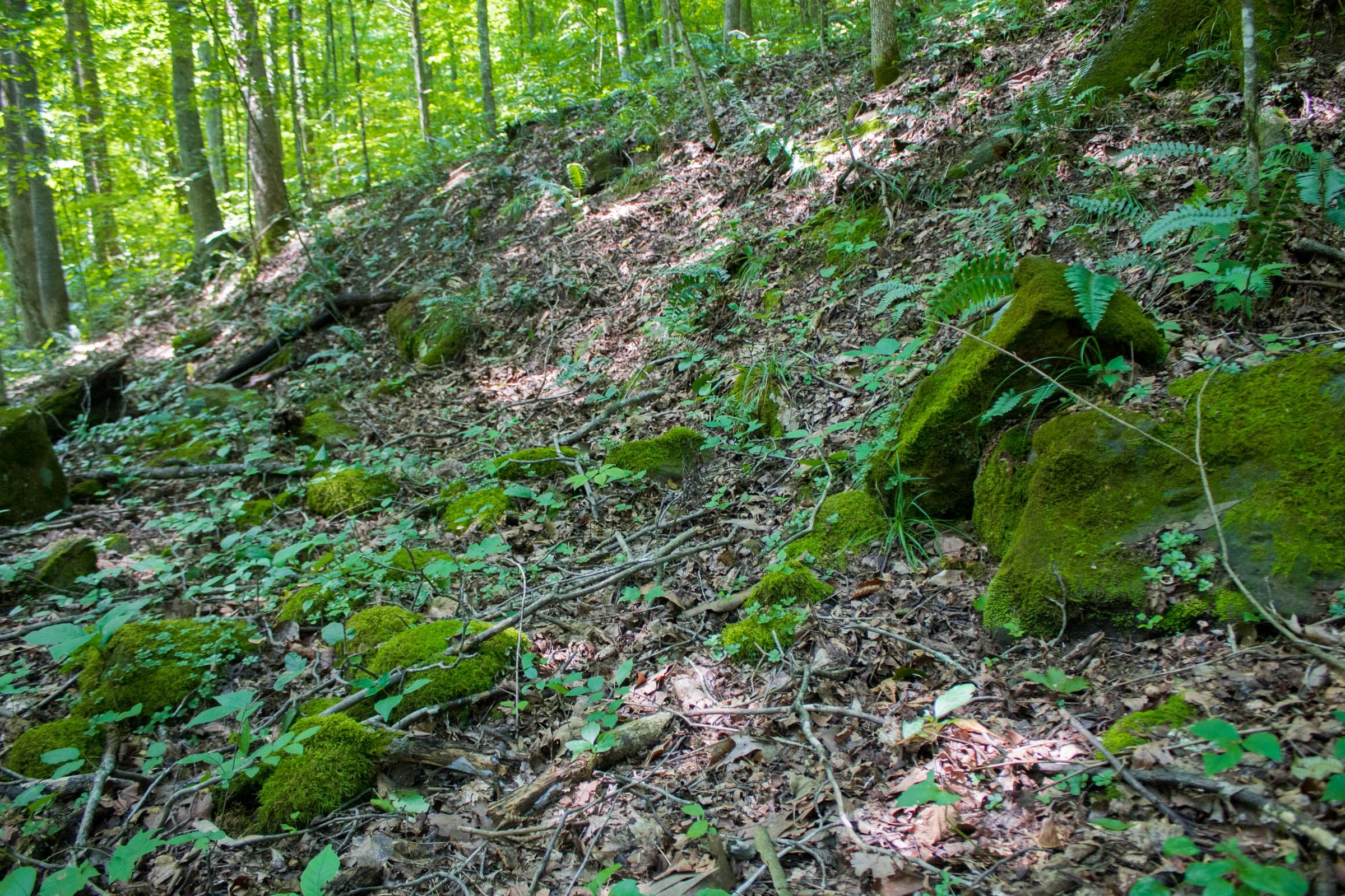 Bluewater Ridge Tract 13 photo 8