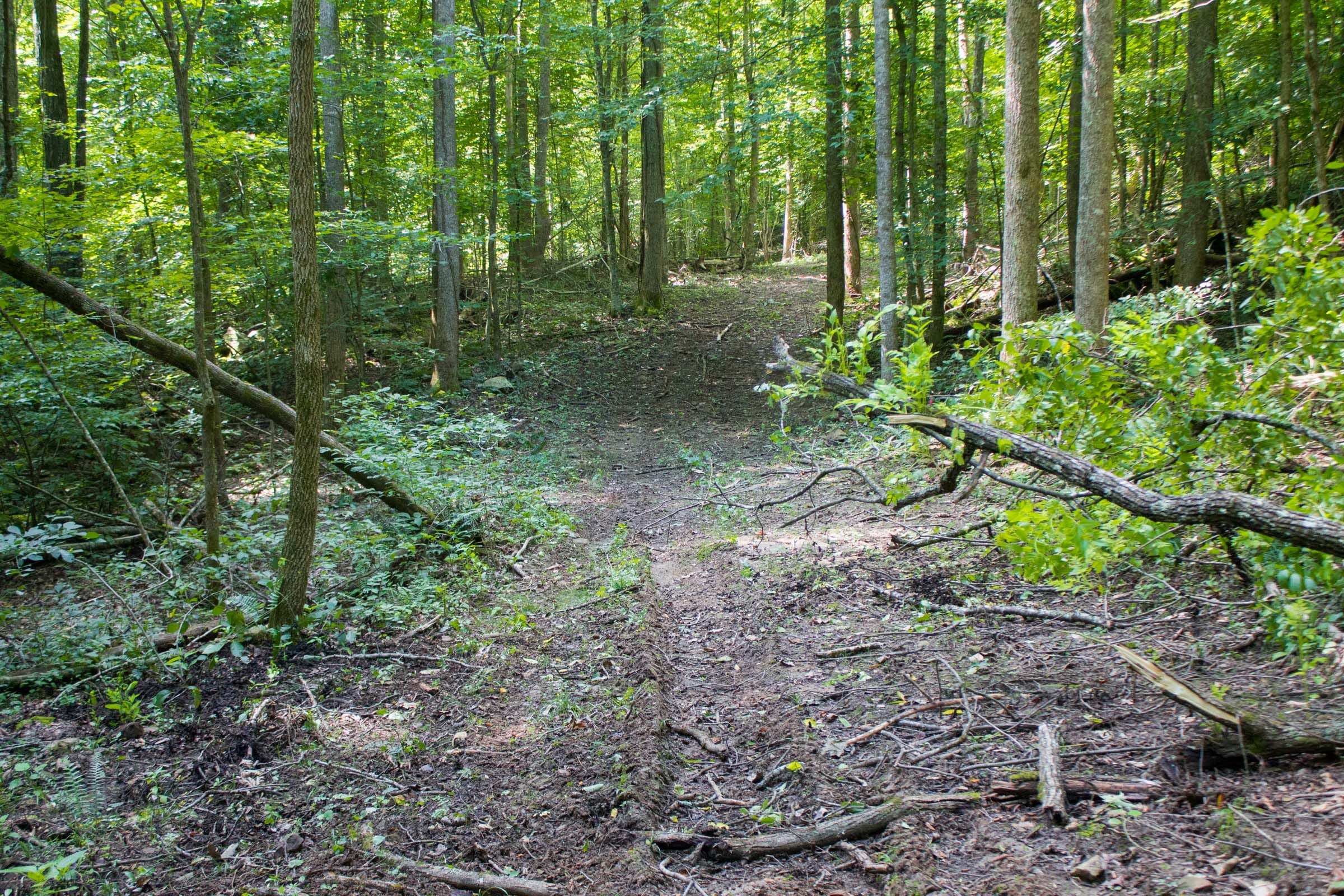 Bluewater Ridge Tract 13 photo 10
