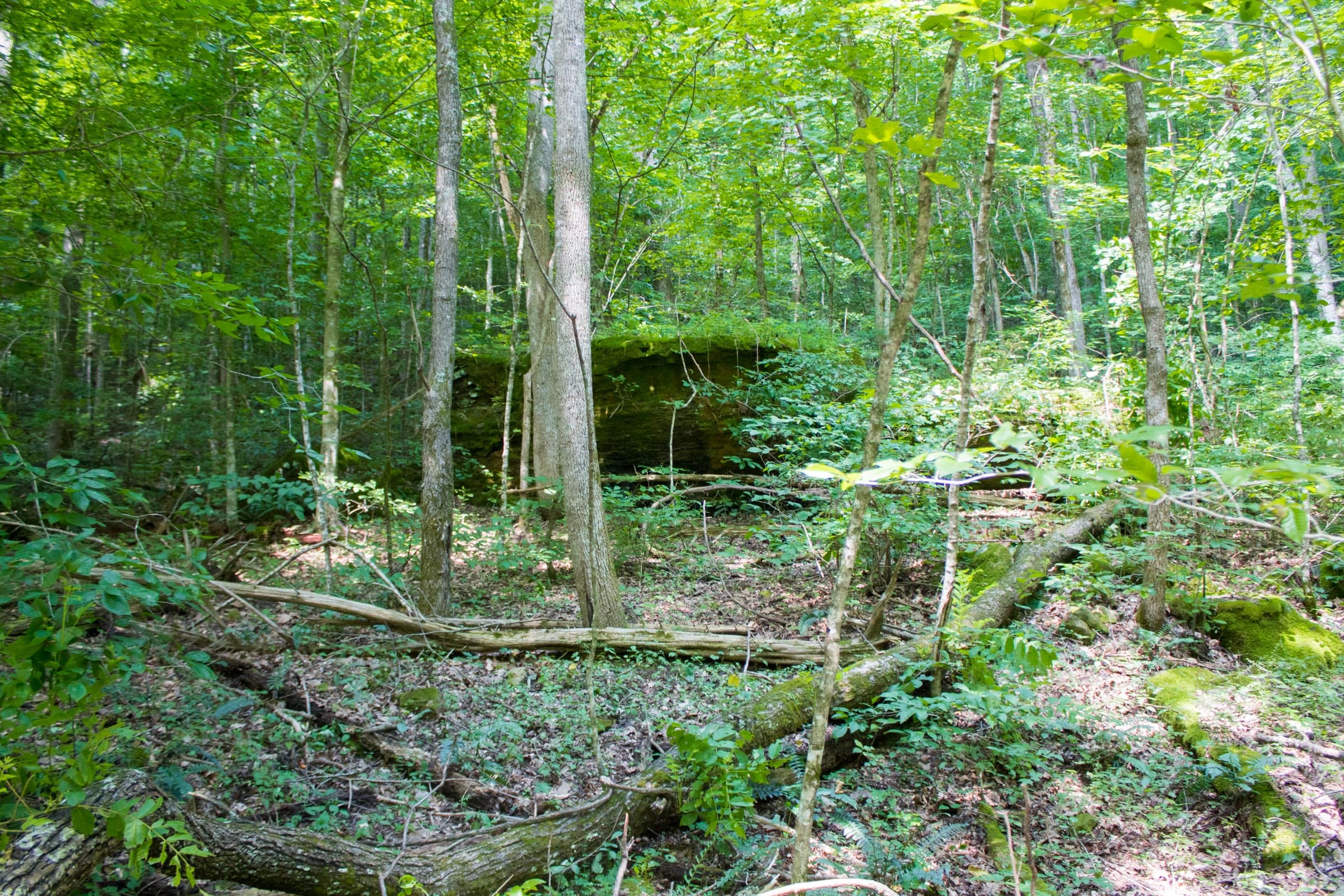 Bluewater Ridge Tract 13 photo 11
