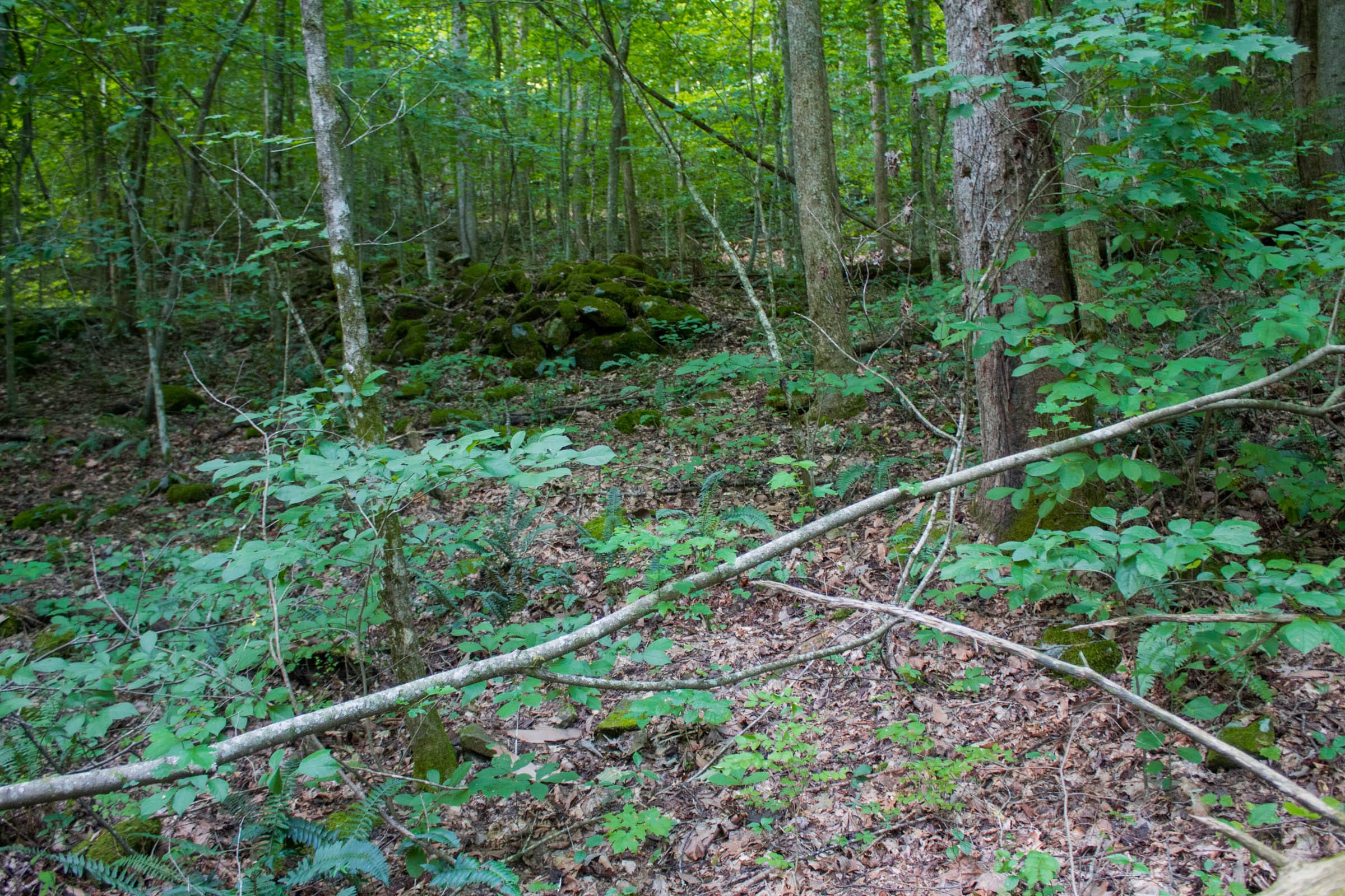 Bluewater Ridge Tract 13 photo 14