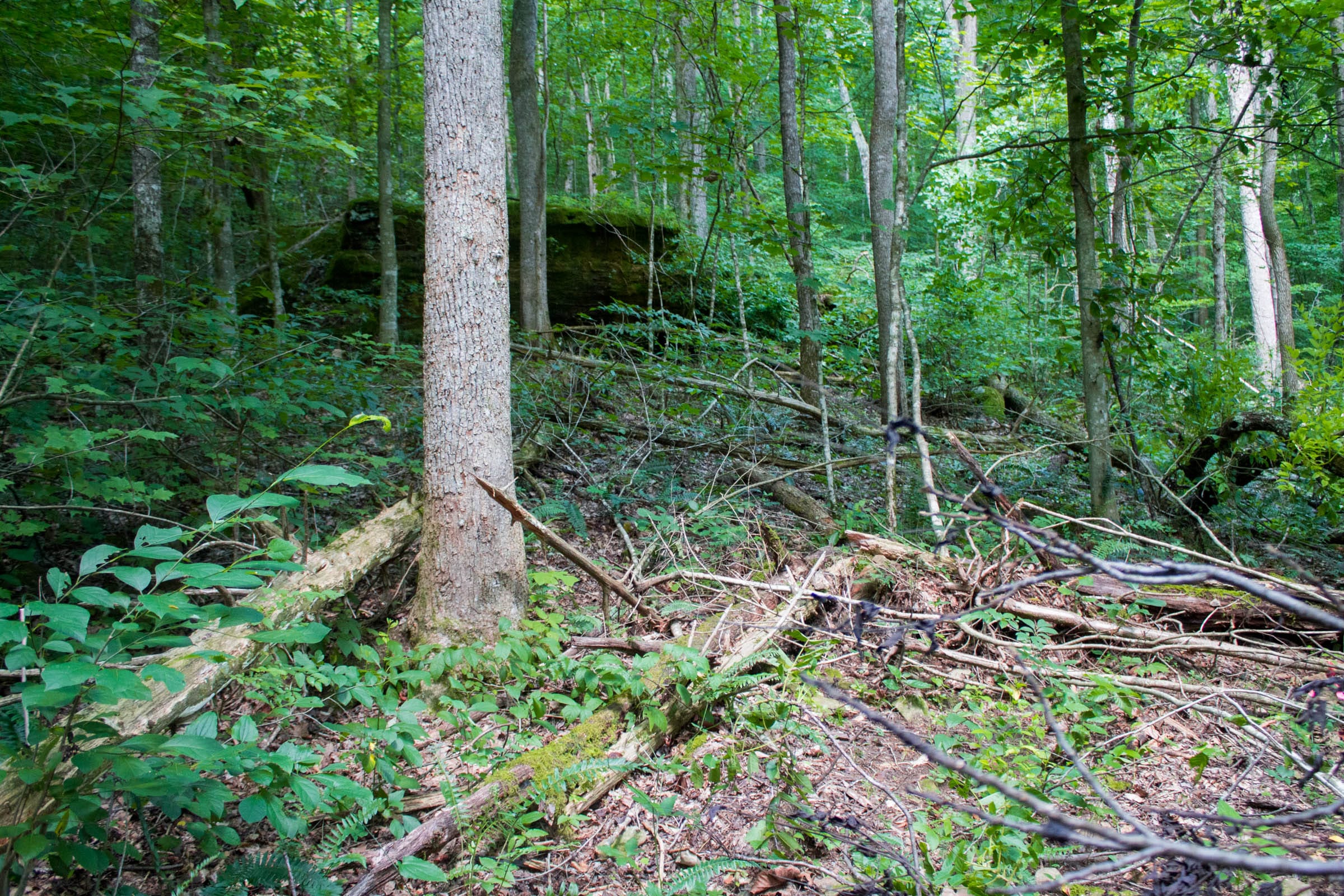 Bluewater Ridge Tract 13 photo 15