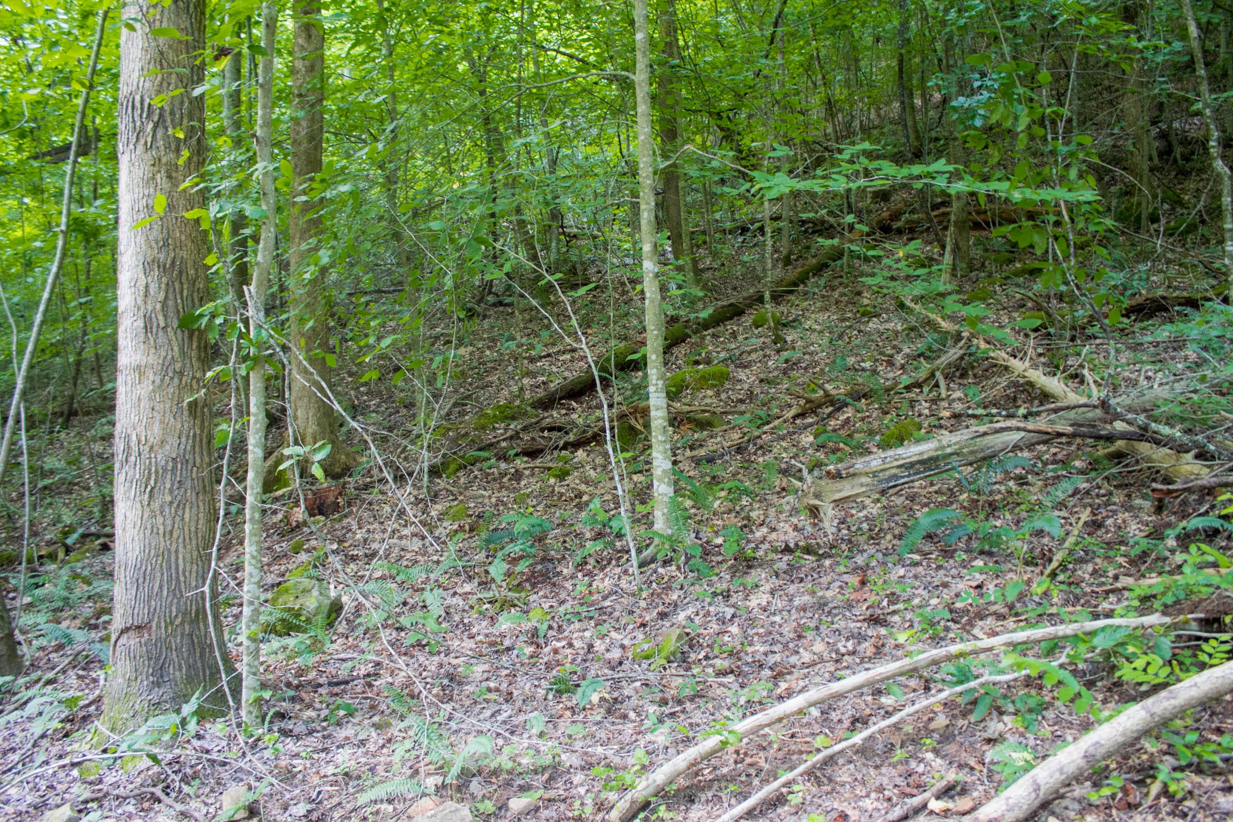 Bluewater Ridge Tract 13 photo 16