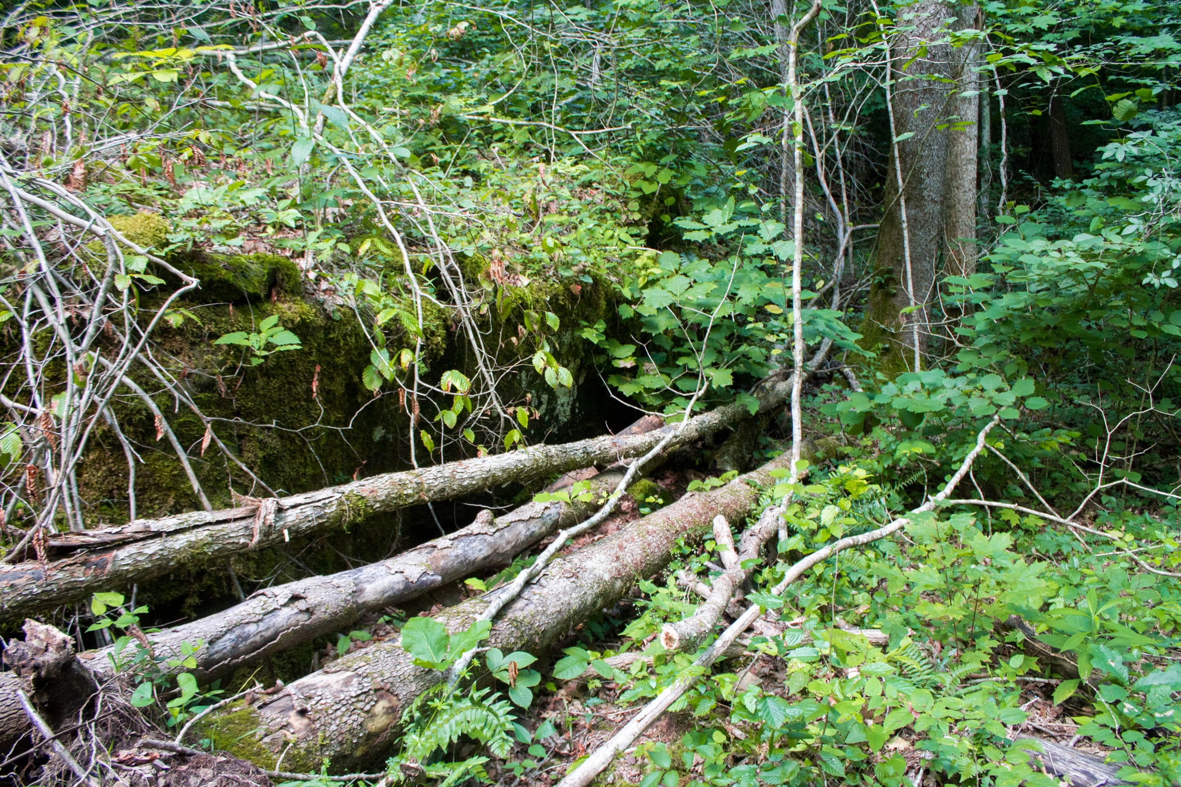 Bluewater Ridge Tract 13 photo 17