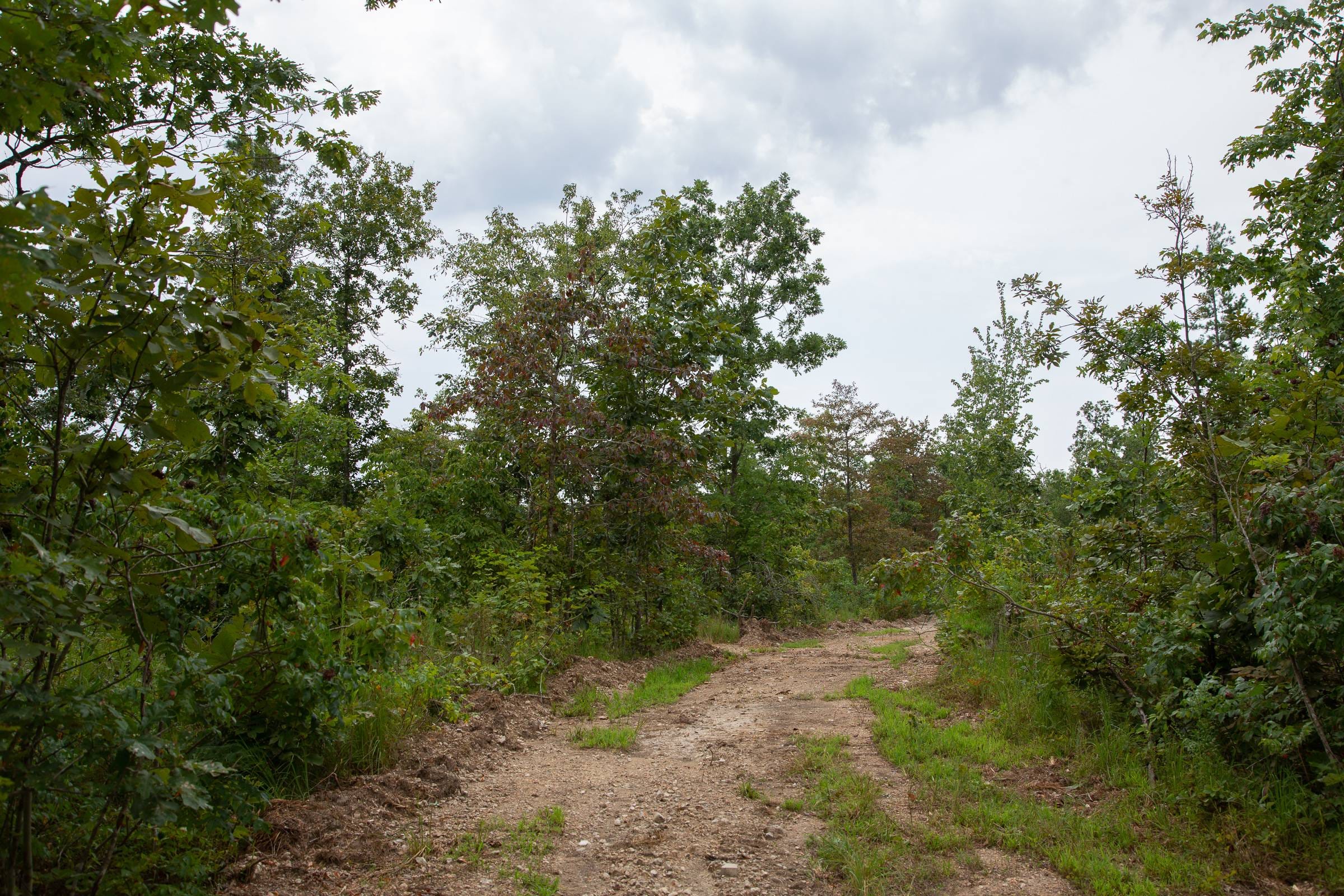 Borgmann’s Hollow Phase I Tract 27 photo 1