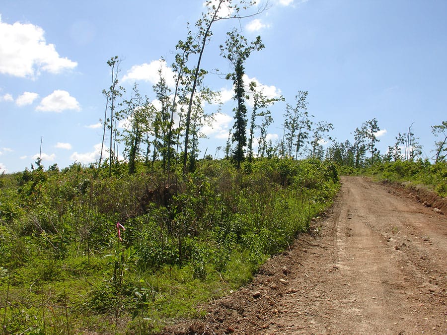 Antler Ridge Tract 3 photo 2
