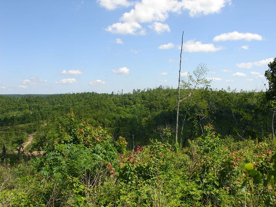 Antler Ridge Tract 3 photo 5