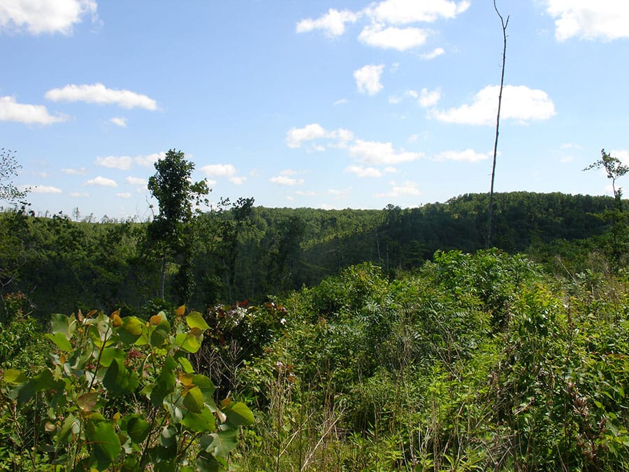 Antler Ridge Tract 3 photo 6