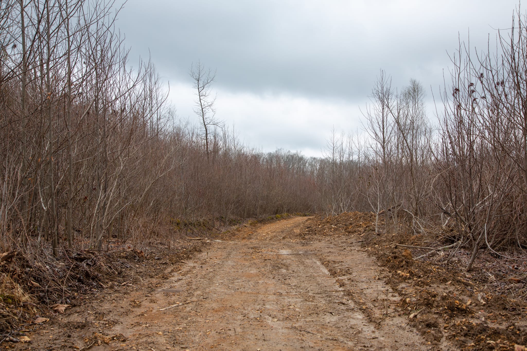 Southwind Ranch Tract 21 photo 2