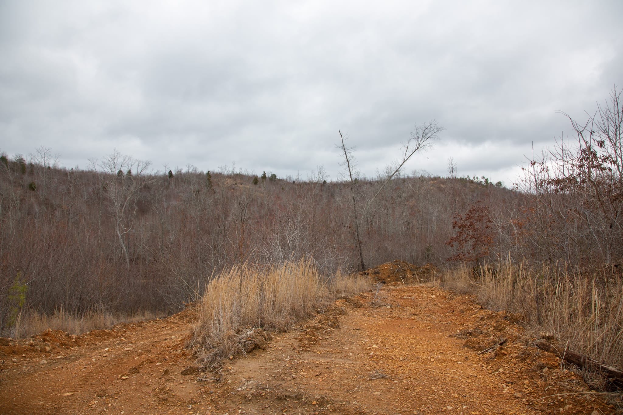 Southwind Ranch Tract 21 photo 19