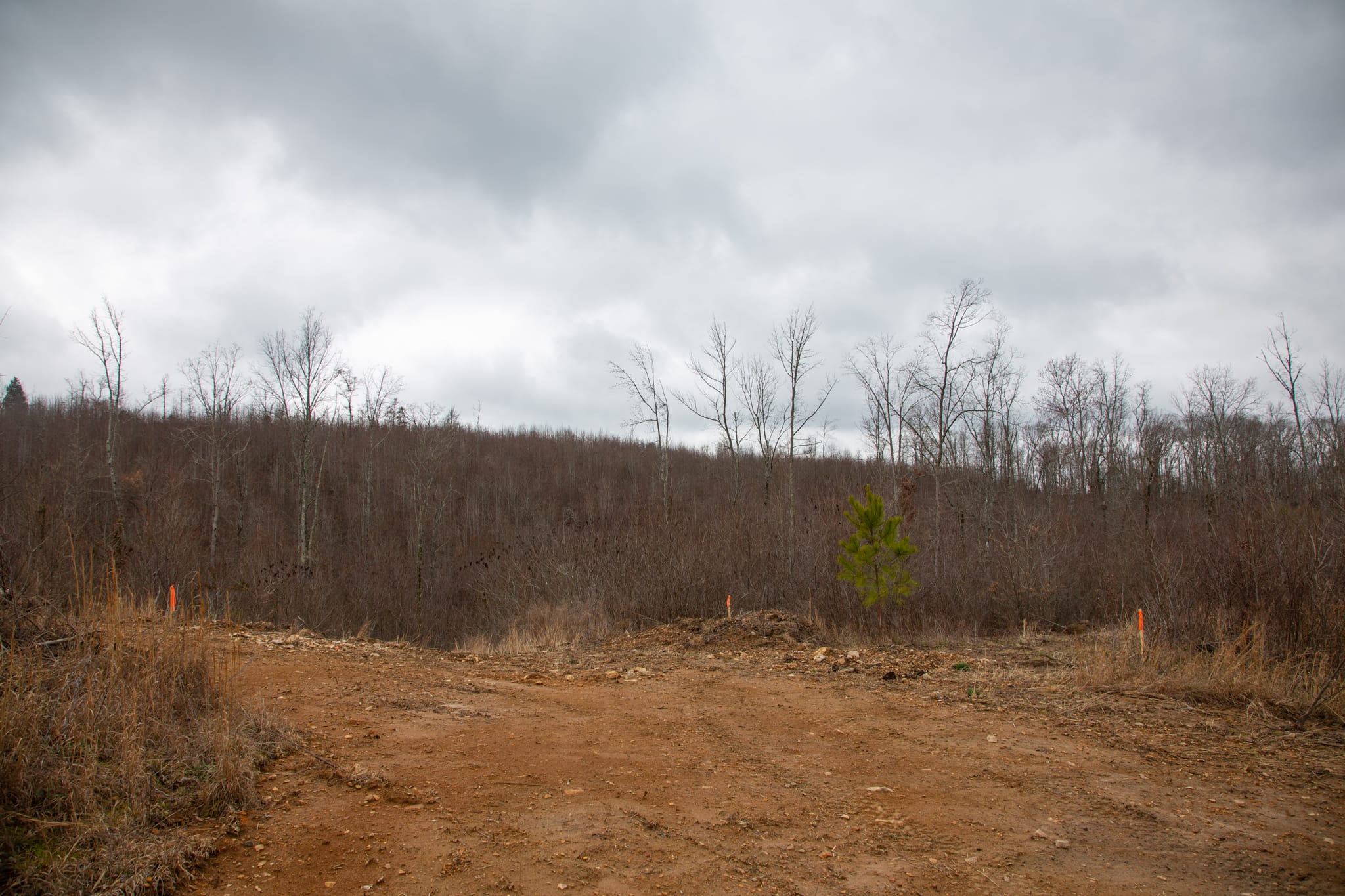 Southwind Ranch Tract 21 photo 16