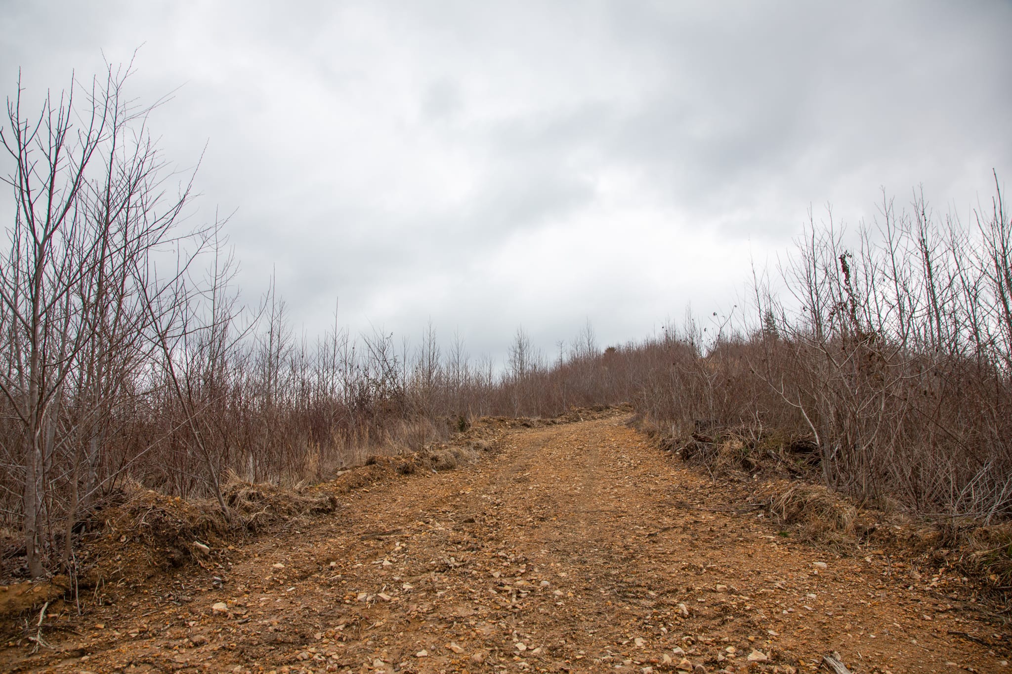 Southwind Ranch Tract 21 photo 6
