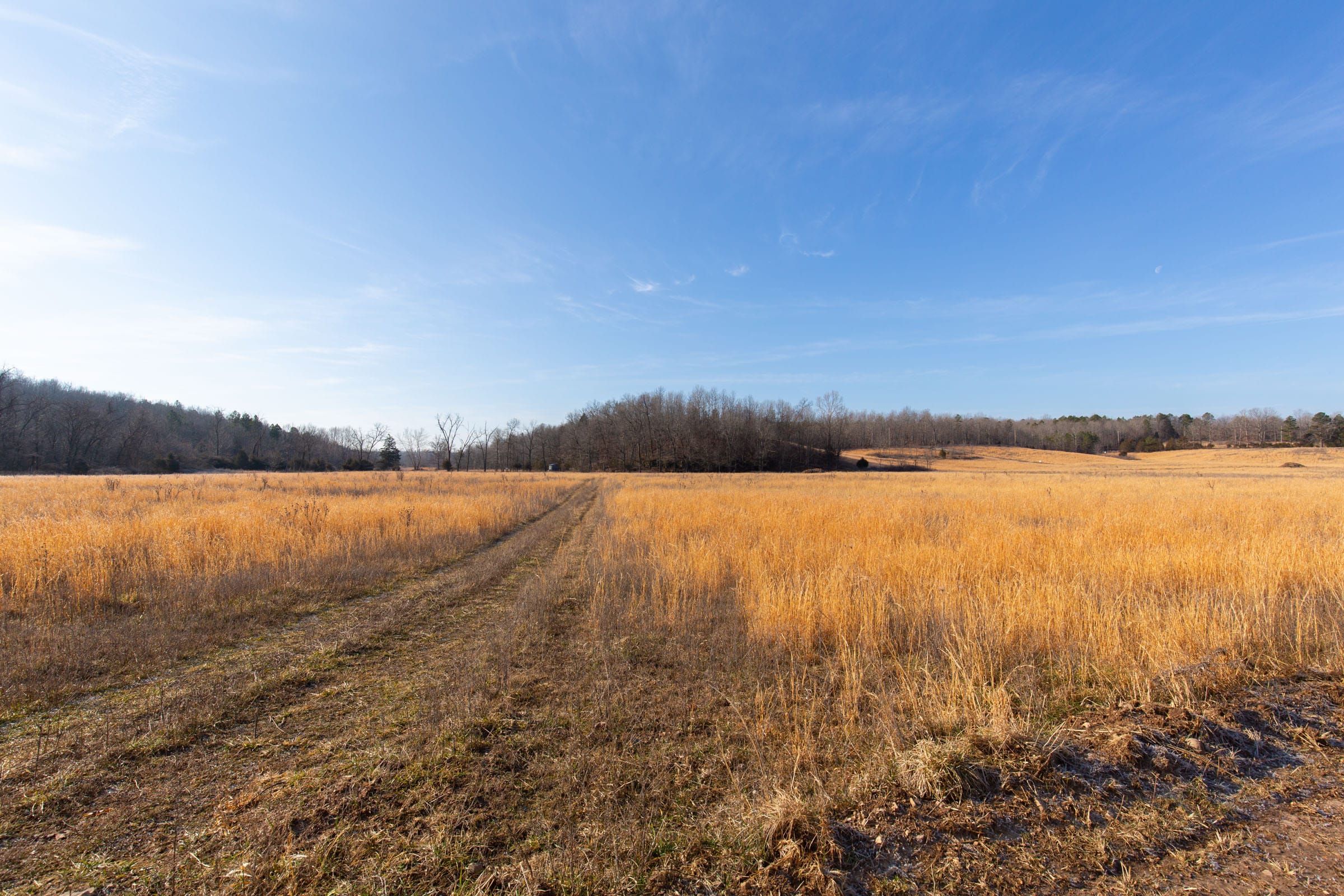 O’Connor Crossing Tract 30 photo 6
