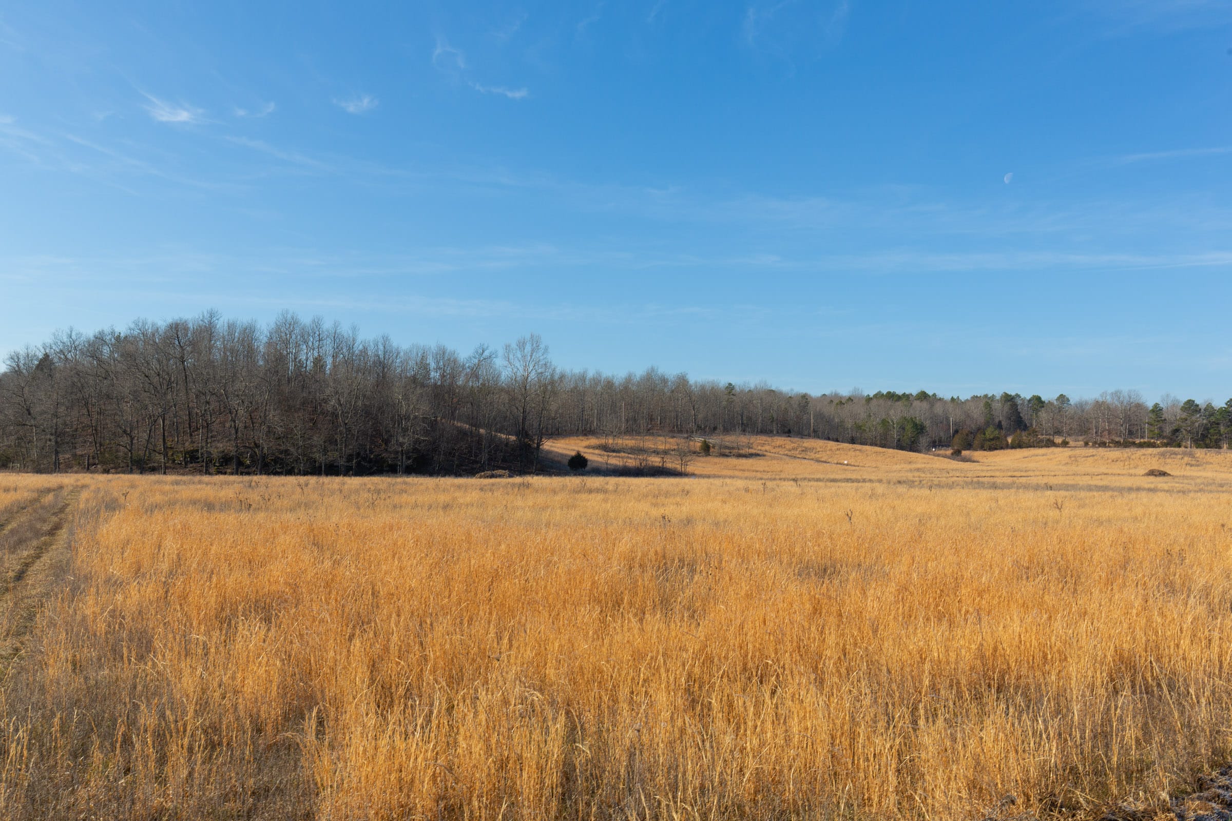 O’Connor Crossing Tract 30 photo 3